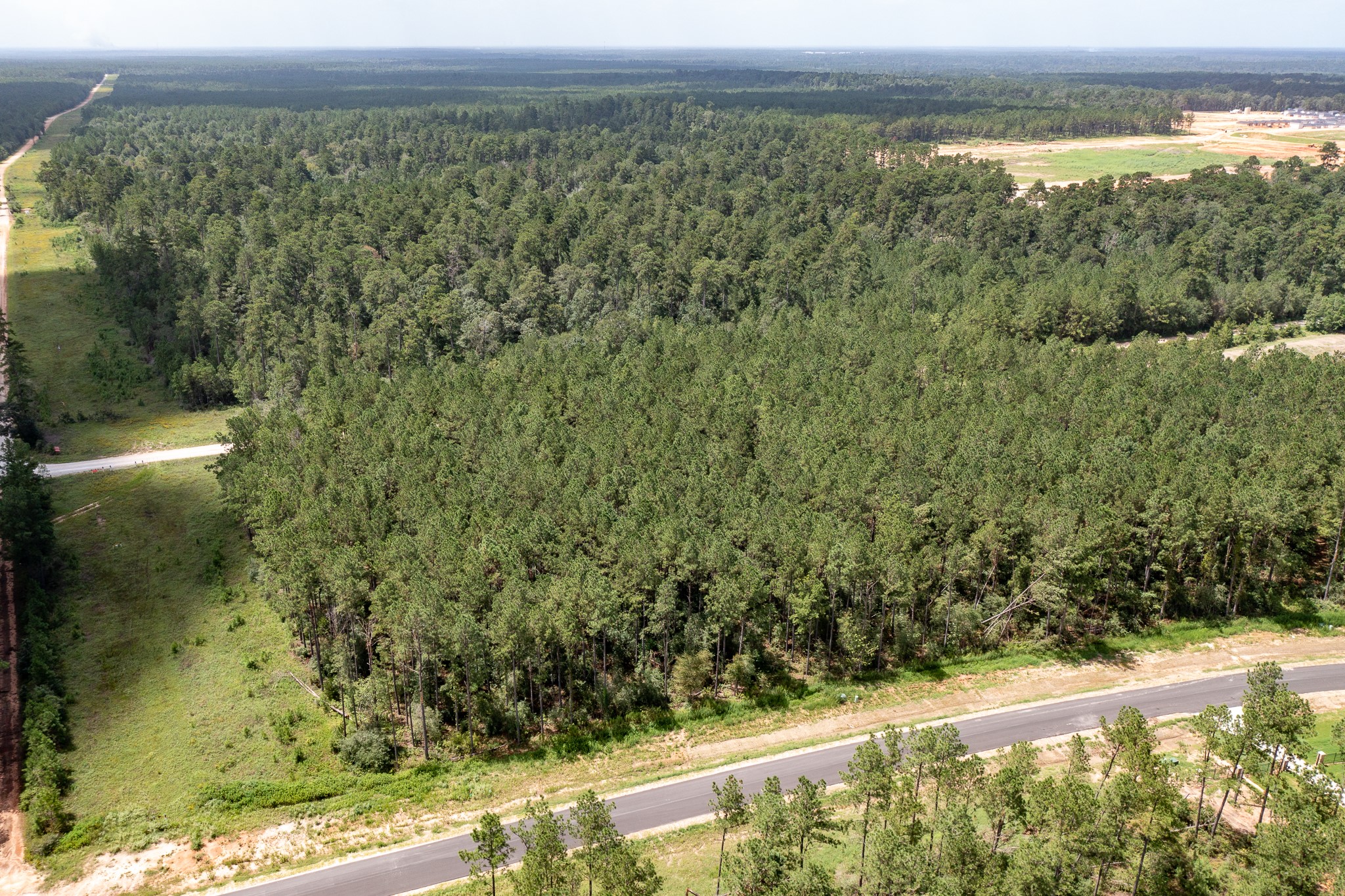 15285 Forest Grove Drive Property Photo 4