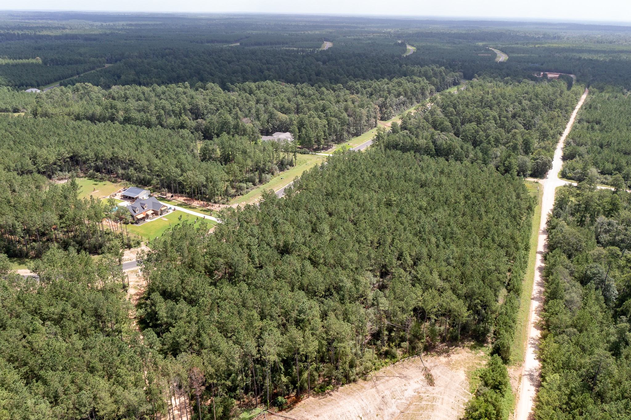 15285 Forest Grove Drive Property Photo 11