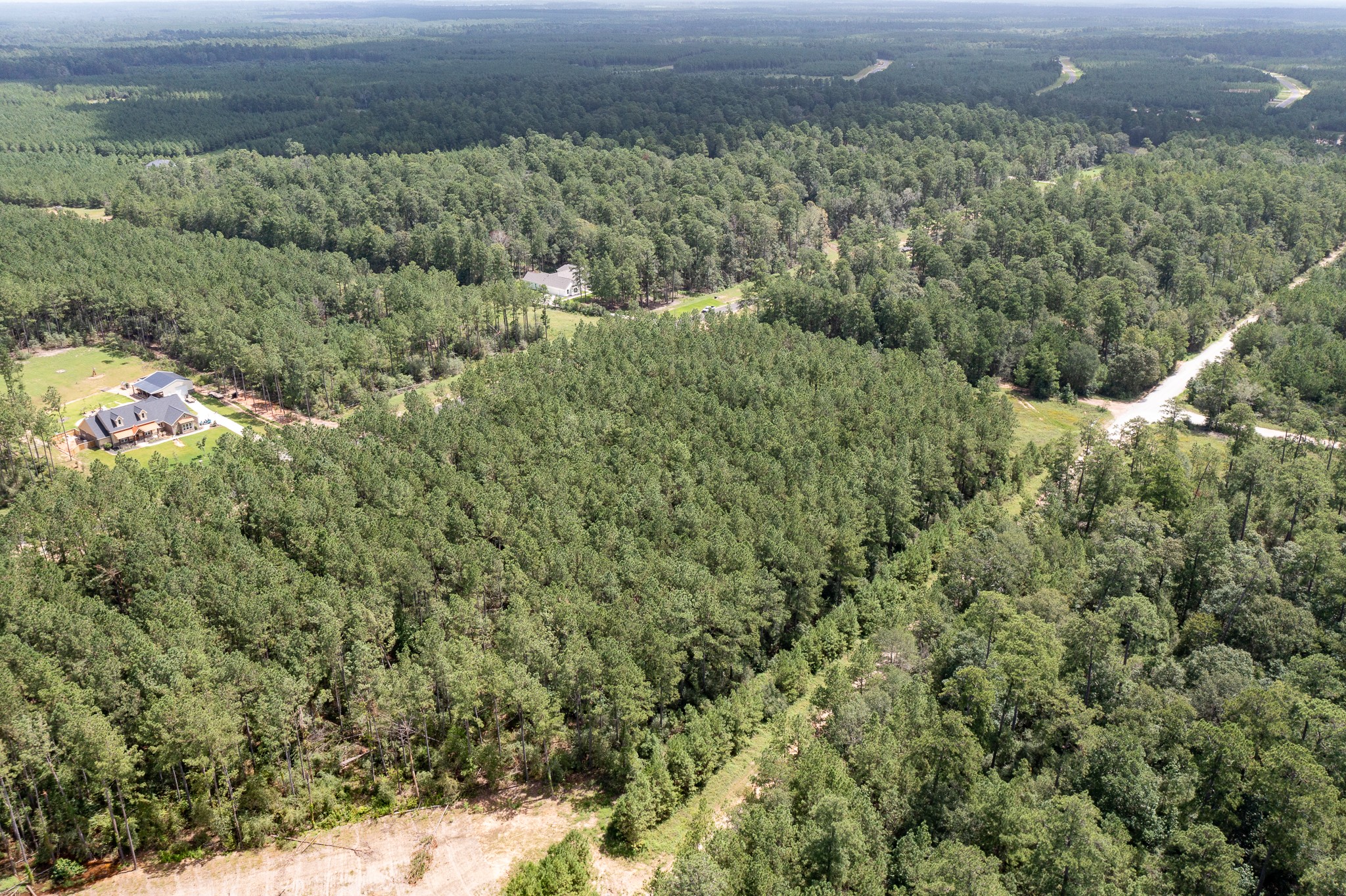 15285 Forest Grove Drive Property Photo 12