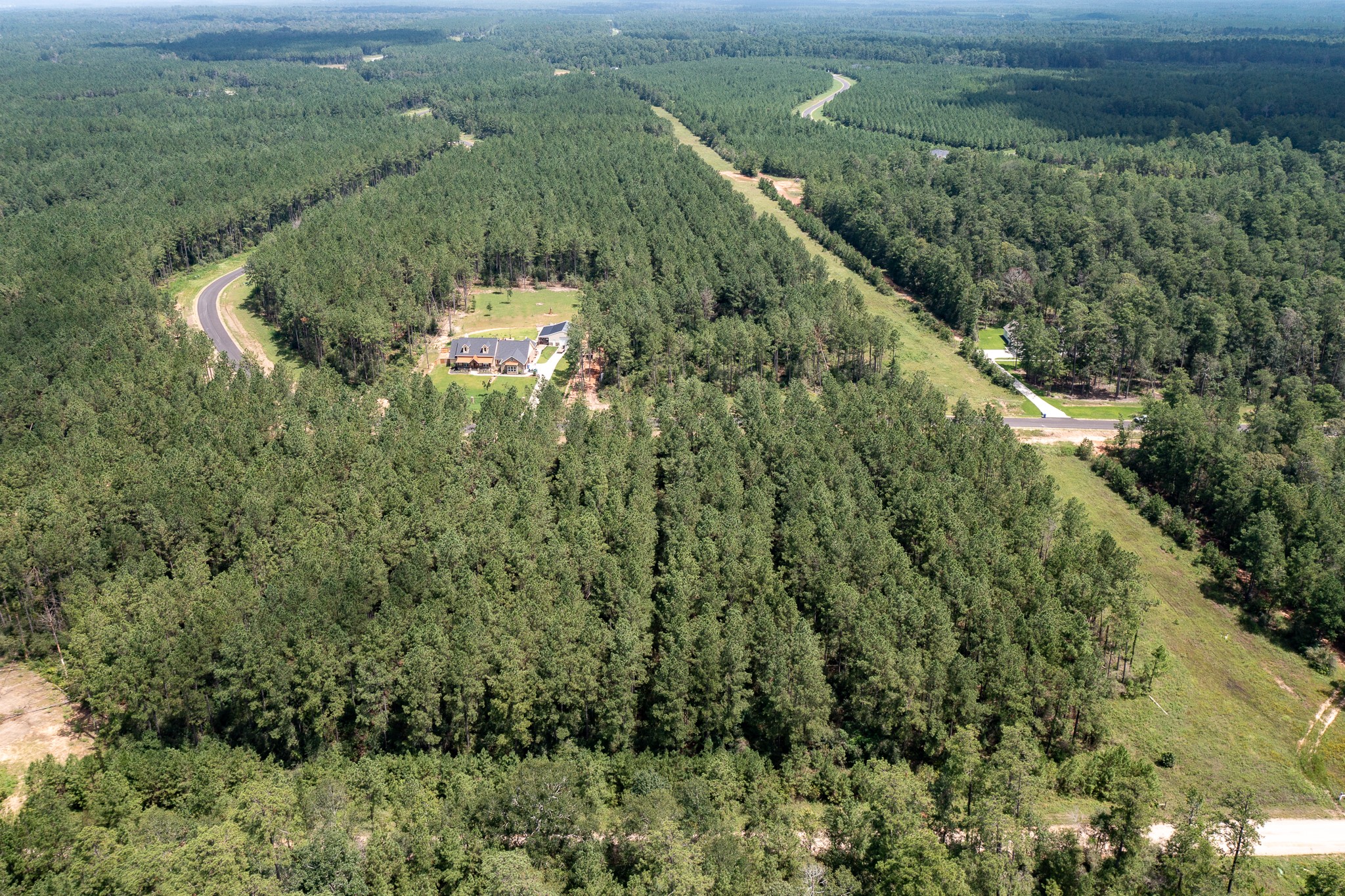 15285 Forest Grove Drive Property Photo 14