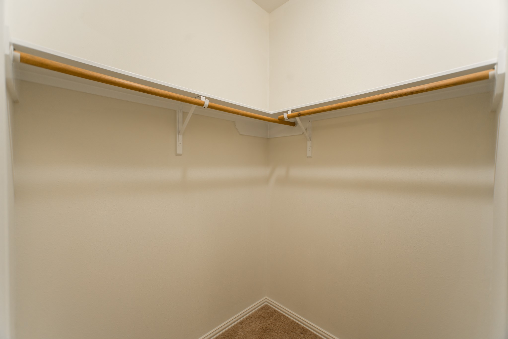 25531 Forest Springs Lake Property Photo 36