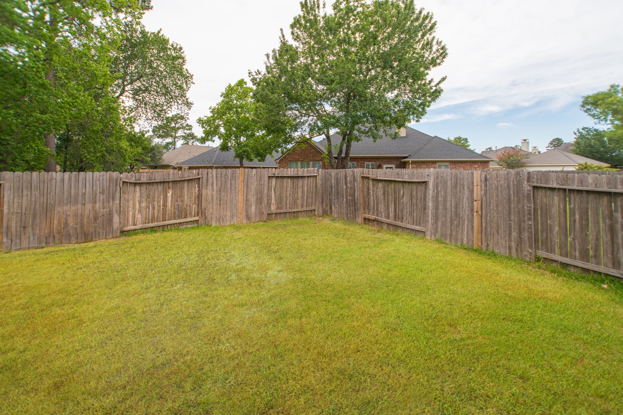 25531 Forest Springs Lake Property Photo 44