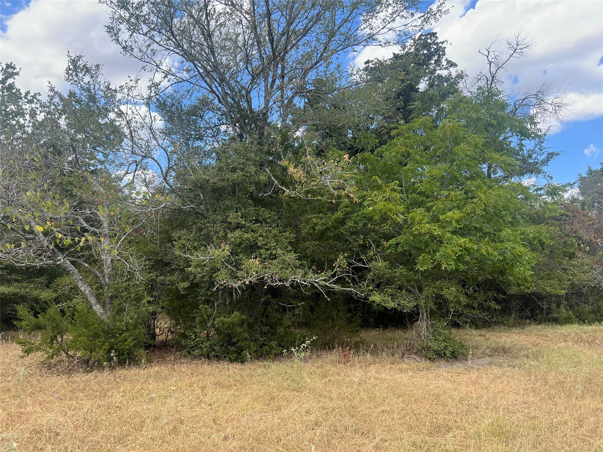 27141 Rock Island Road Property Photo 2