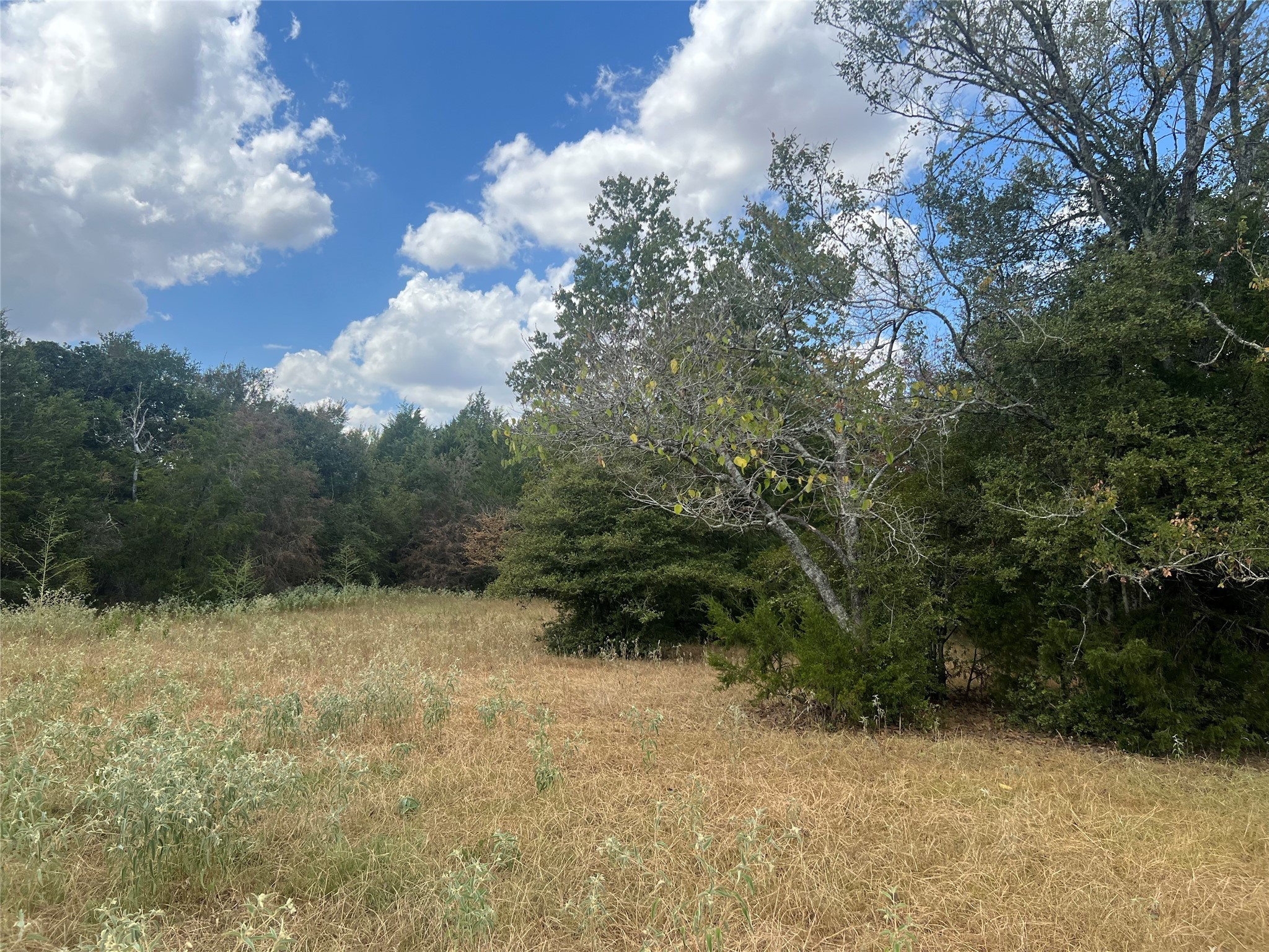 27141 Rock Island Road Property Photo 3