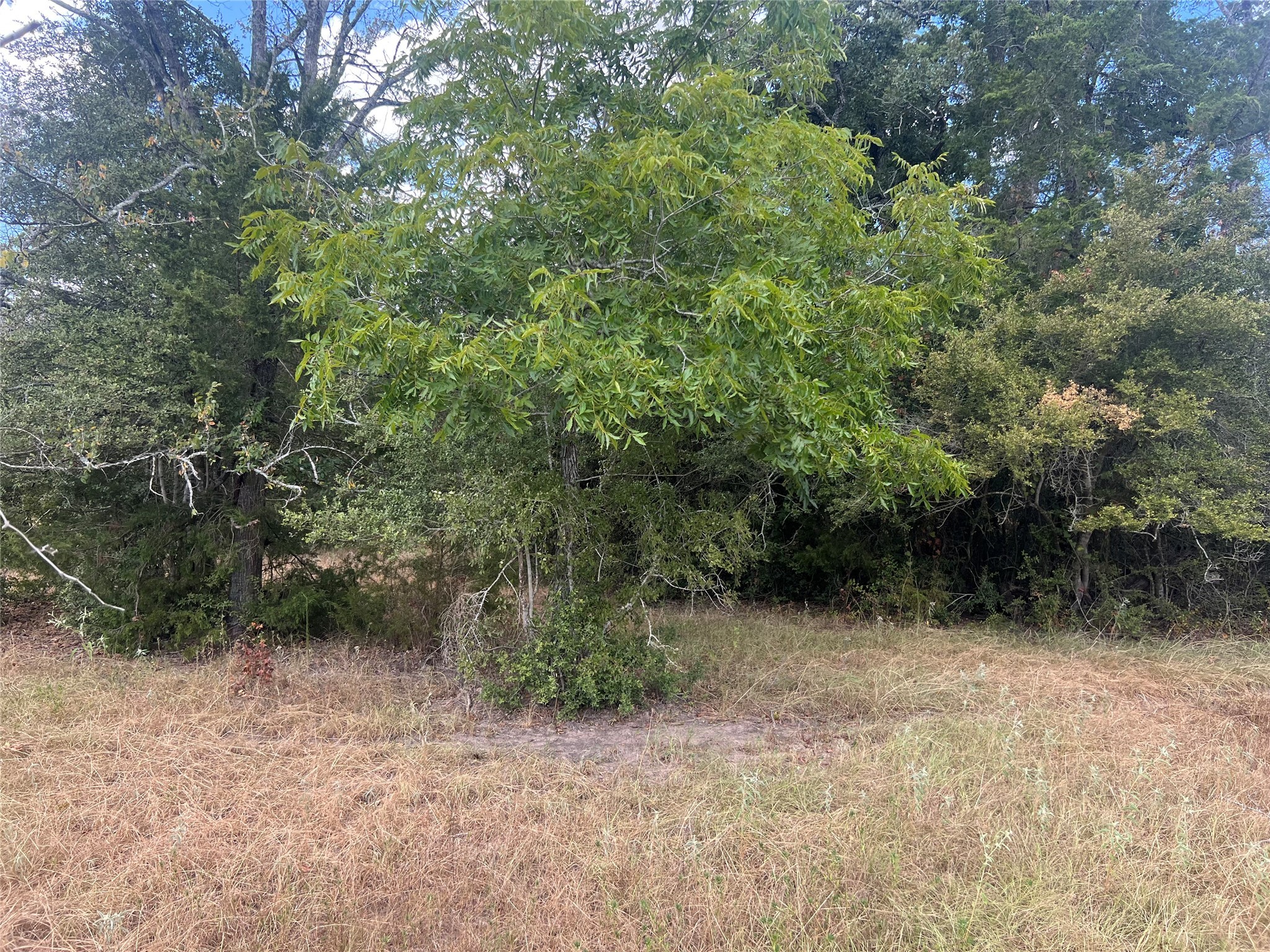 27141 Rock Island Road Property Photo 5