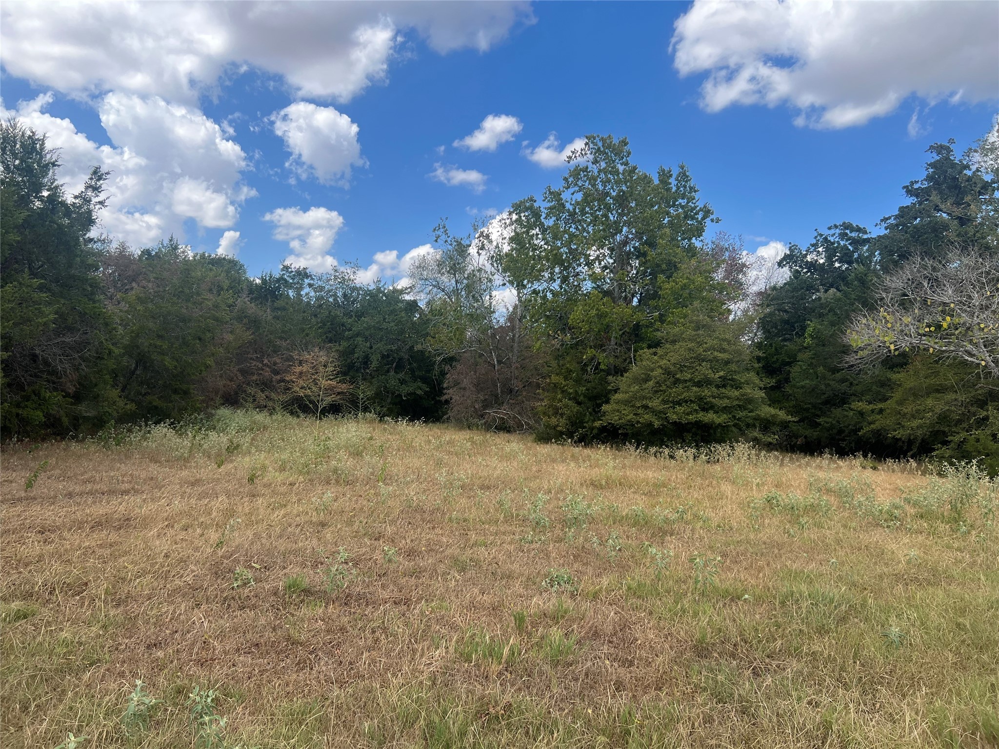 27141 Rock Island Road Property Photo 6