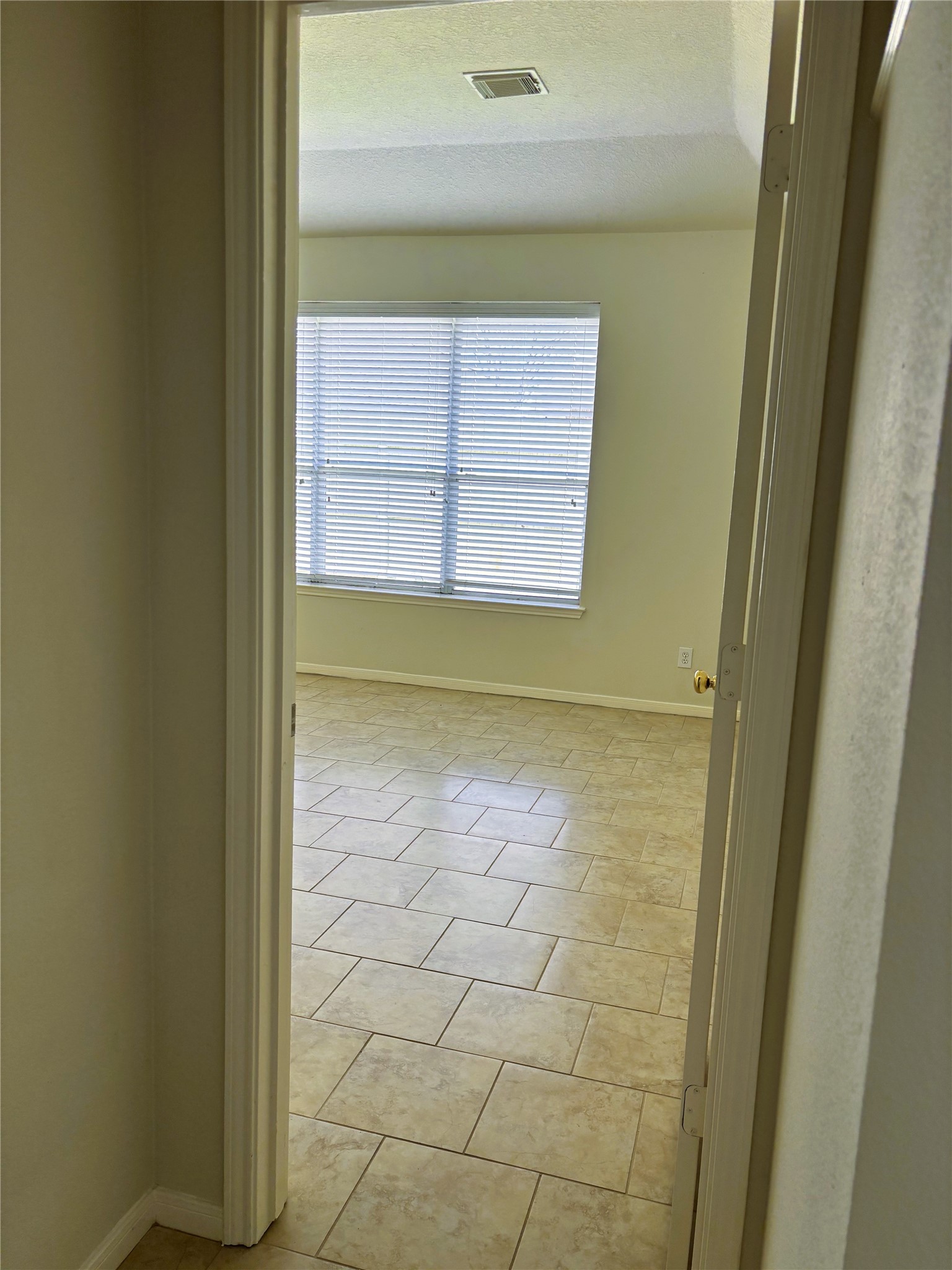 19610 Chestnut Brook Court Property Photo 6
