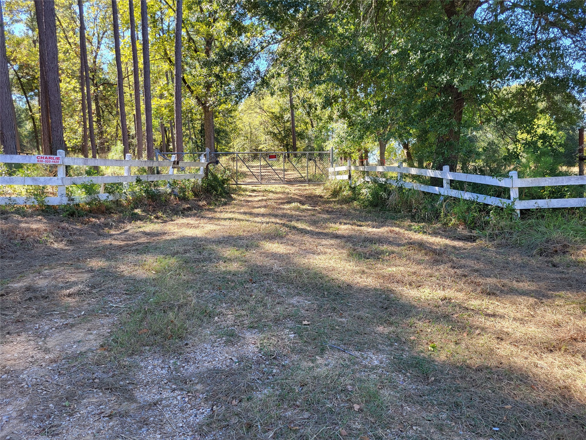 500 S Pine Lake Road Property Photo 5
