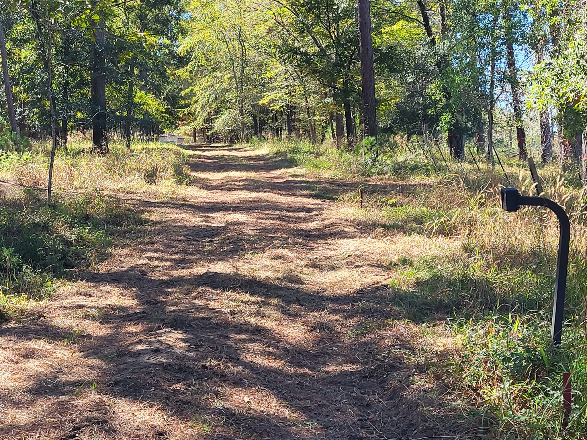 500 S Pine Lake Road Property Photo 11