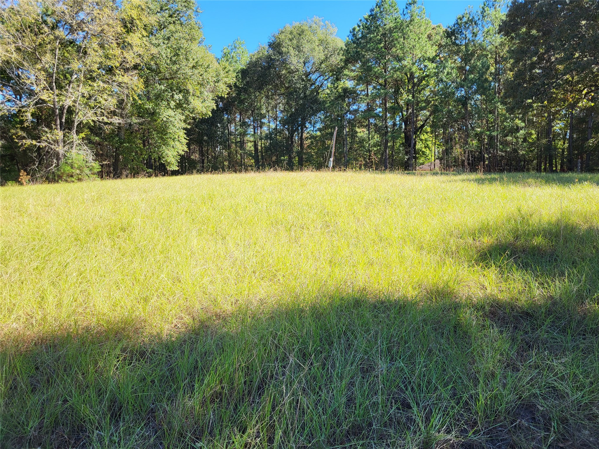 500 S Pine Lake Road Property Photo 14