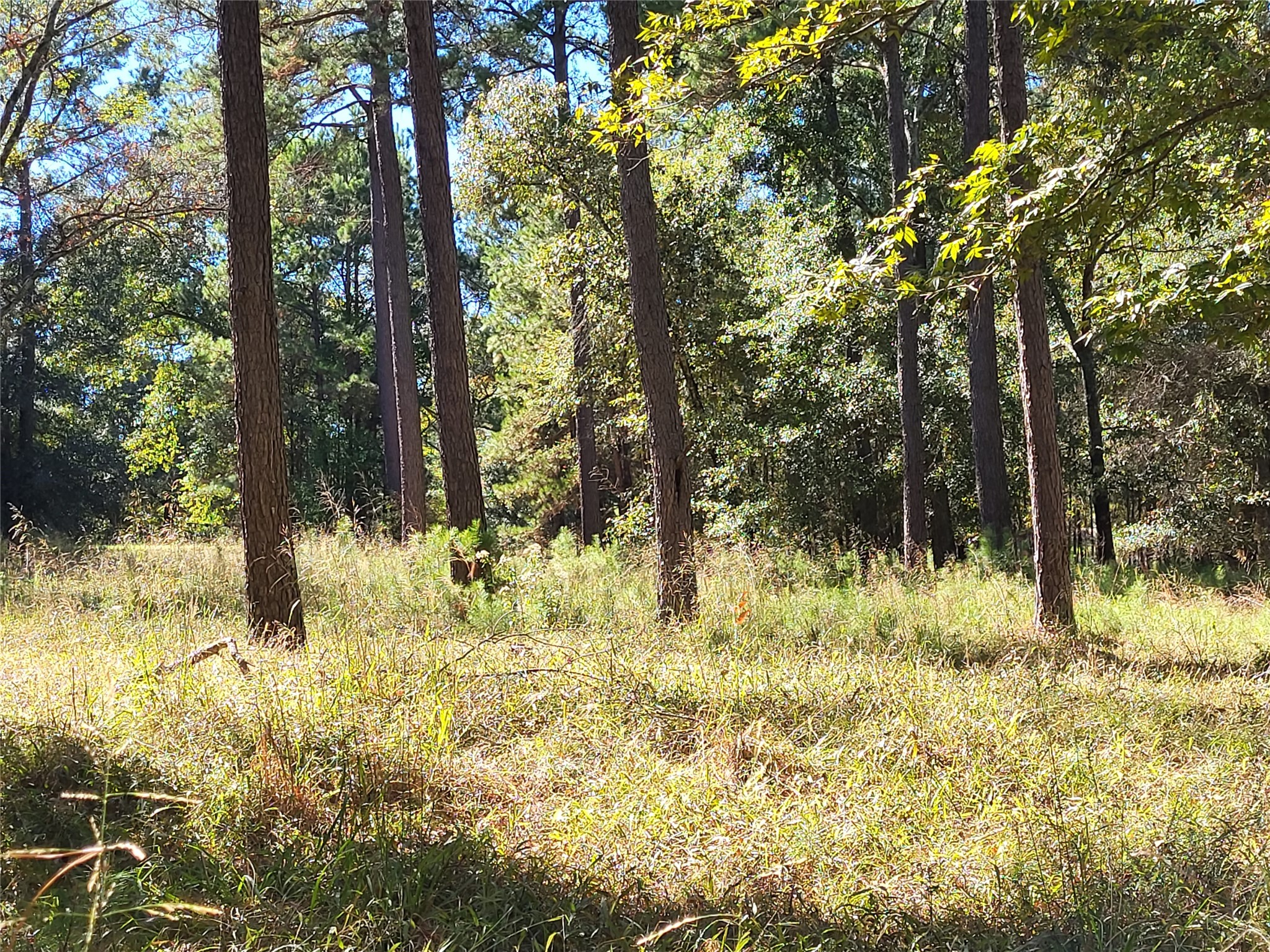 500 S Pine Lake Road Property Photo 17