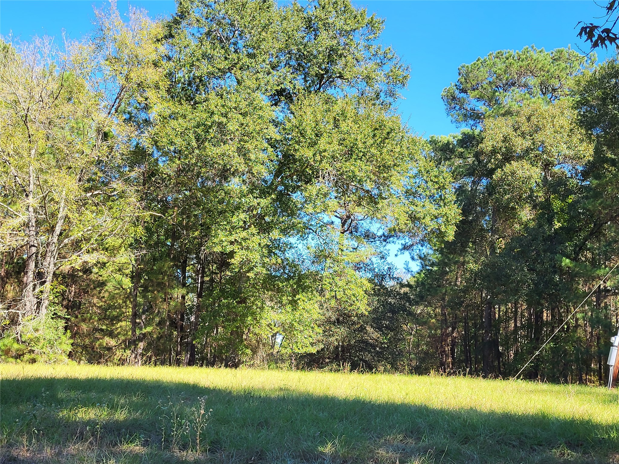 500 S Pine Lake Road Property Photo 20