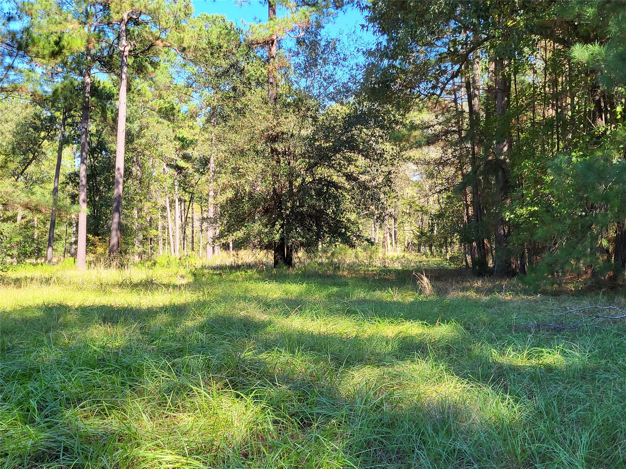 500 S Pine Lake Road Property Photo 21