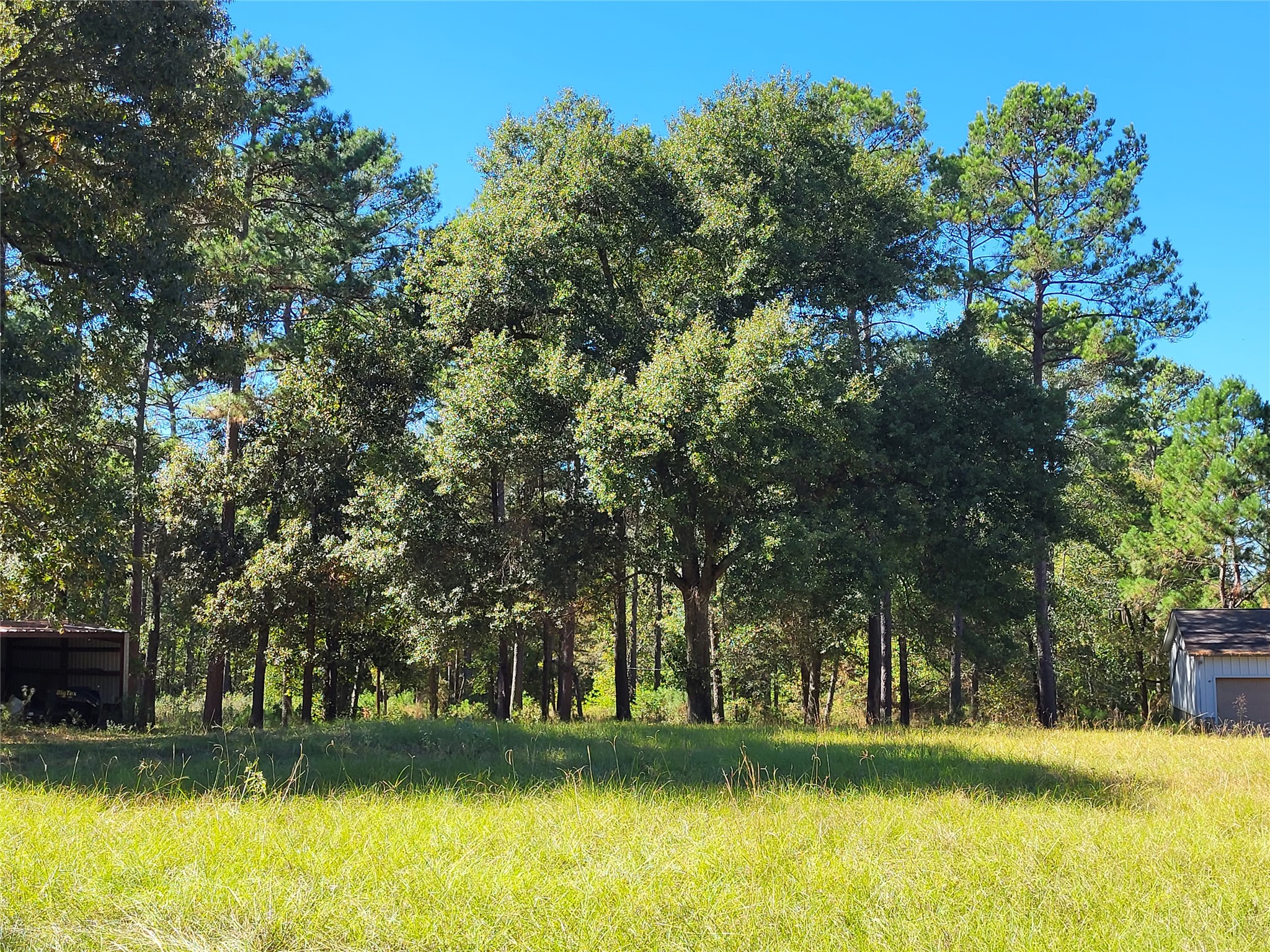 500 S Pine Lake Road Property Photo 22
