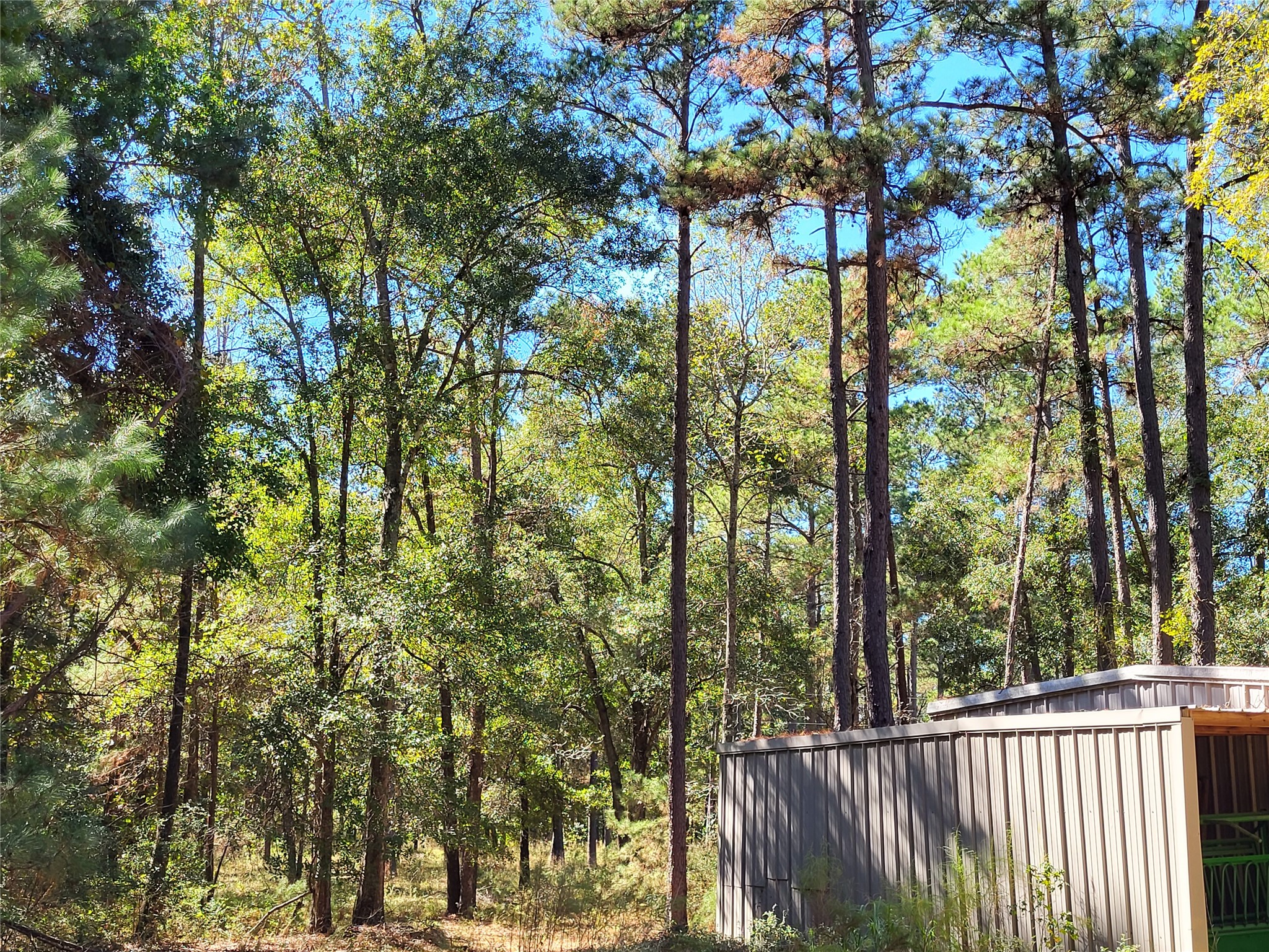 500 S Pine Lake Road Property Photo 23