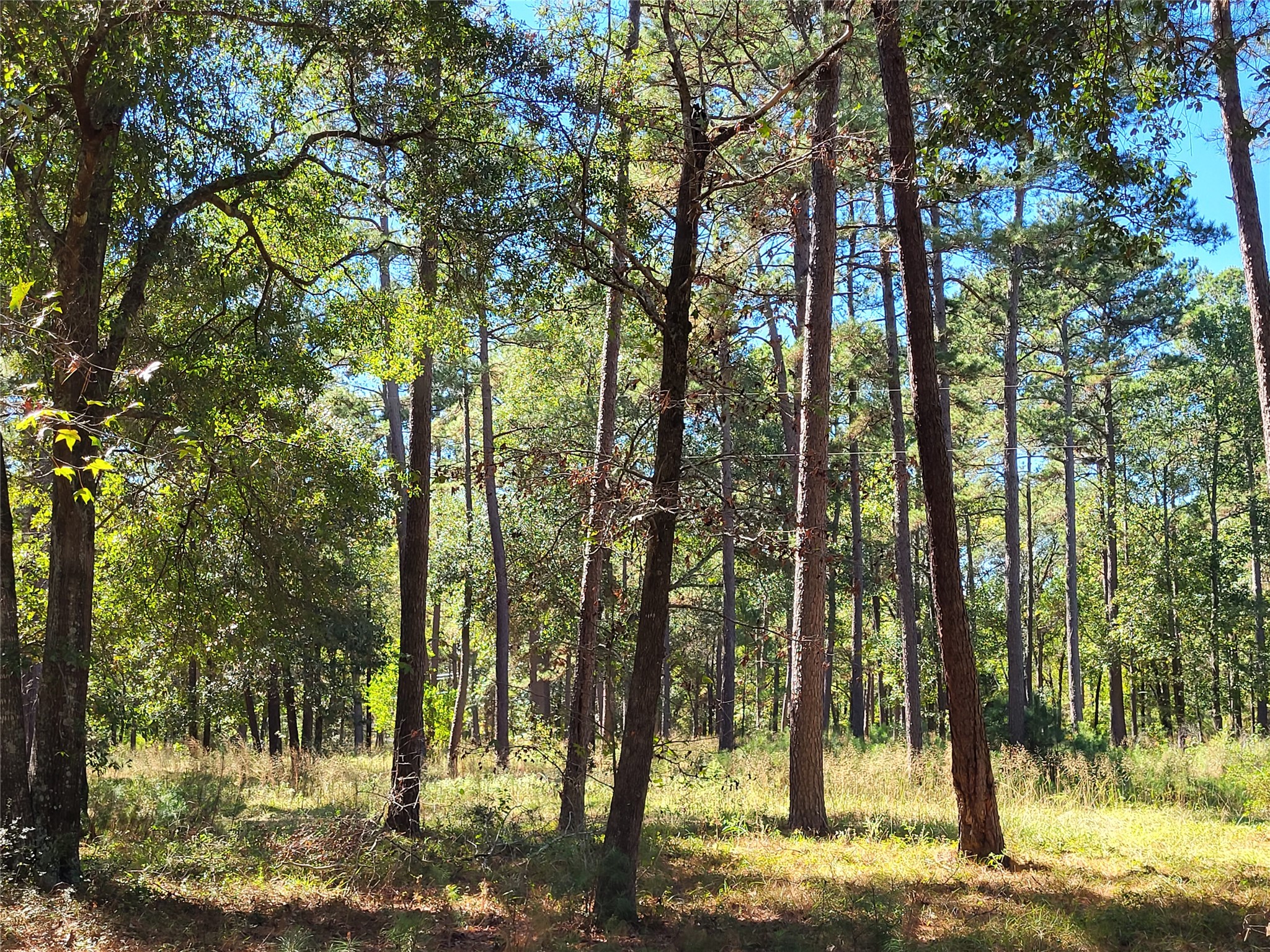 500 S Pine Lake Road Property Photo 25