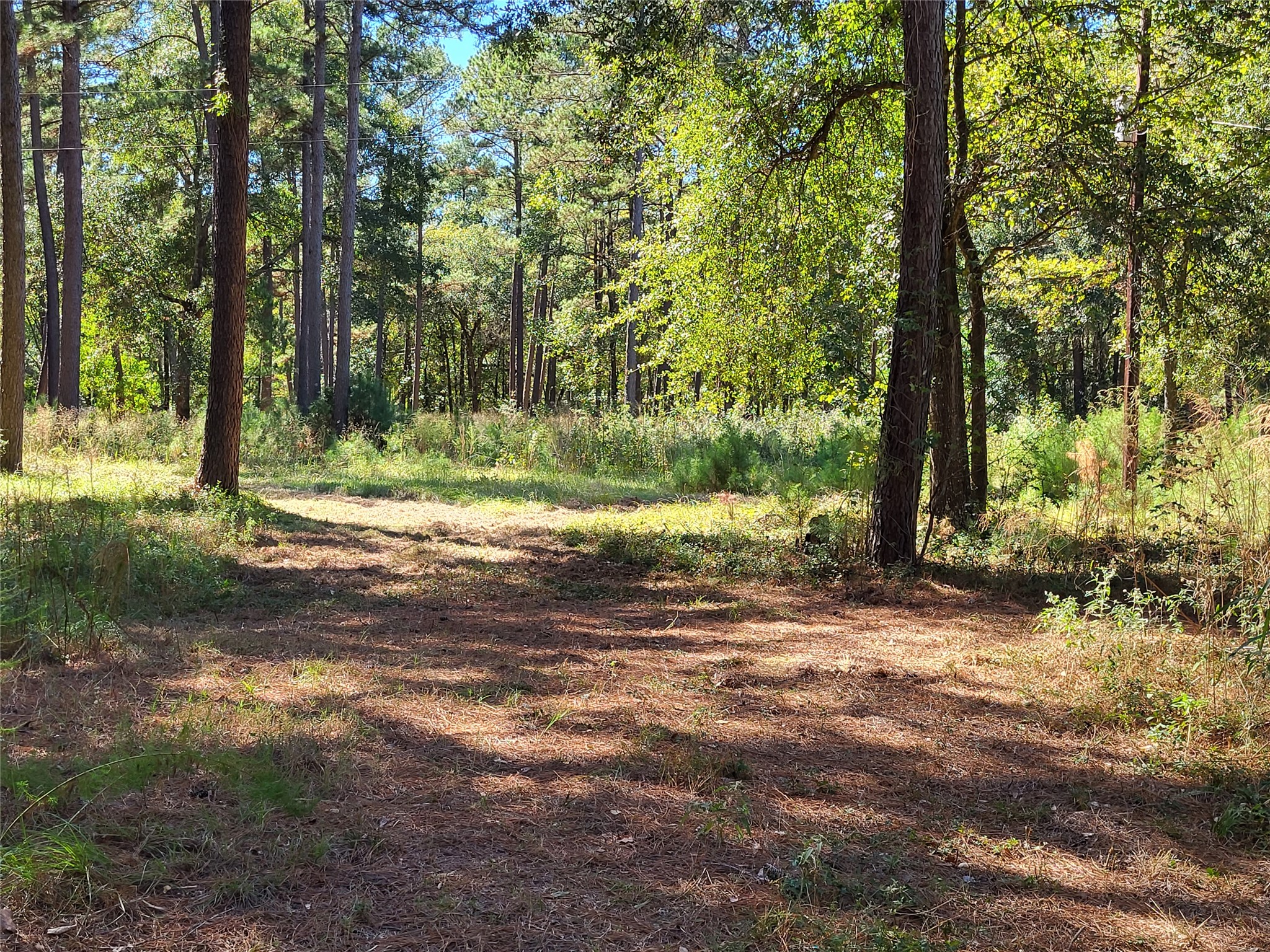500 S Pine Lake Road Property Photo 26