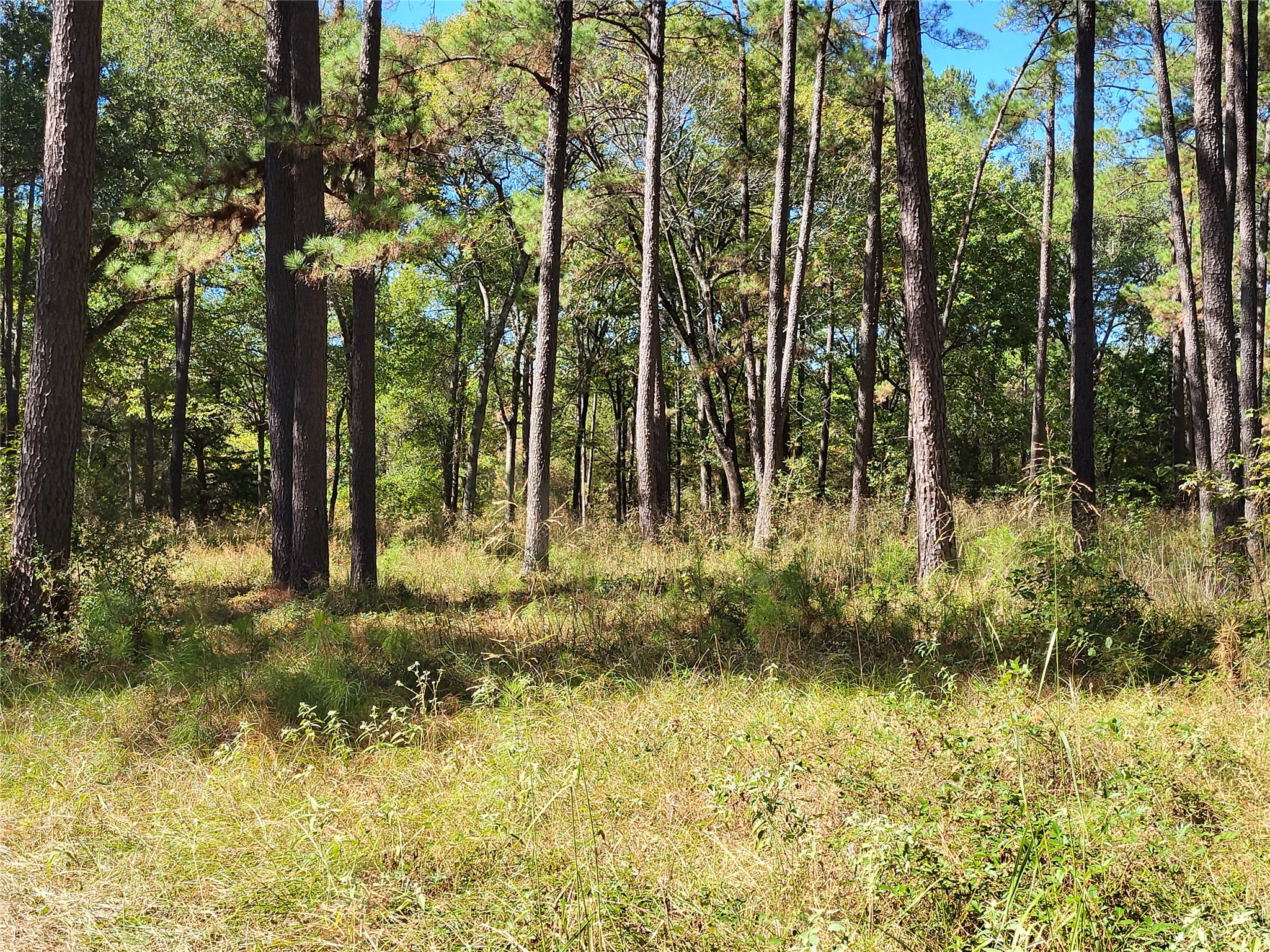 500 S Pine Lake Road Property Photo 28