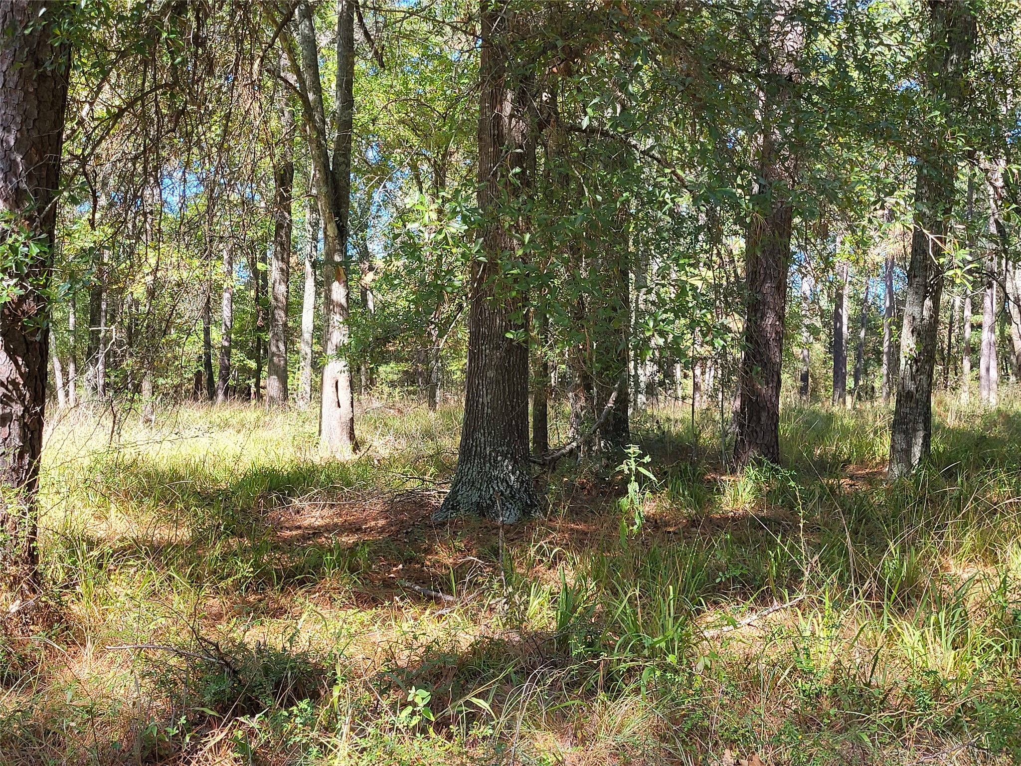 500 S Pine Lake Road Property Photo 29