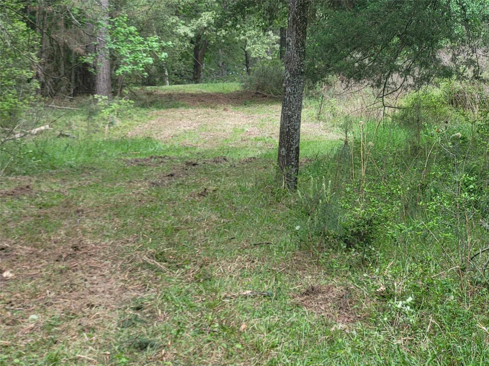 500 S Pine Lake Road Property Photo 31