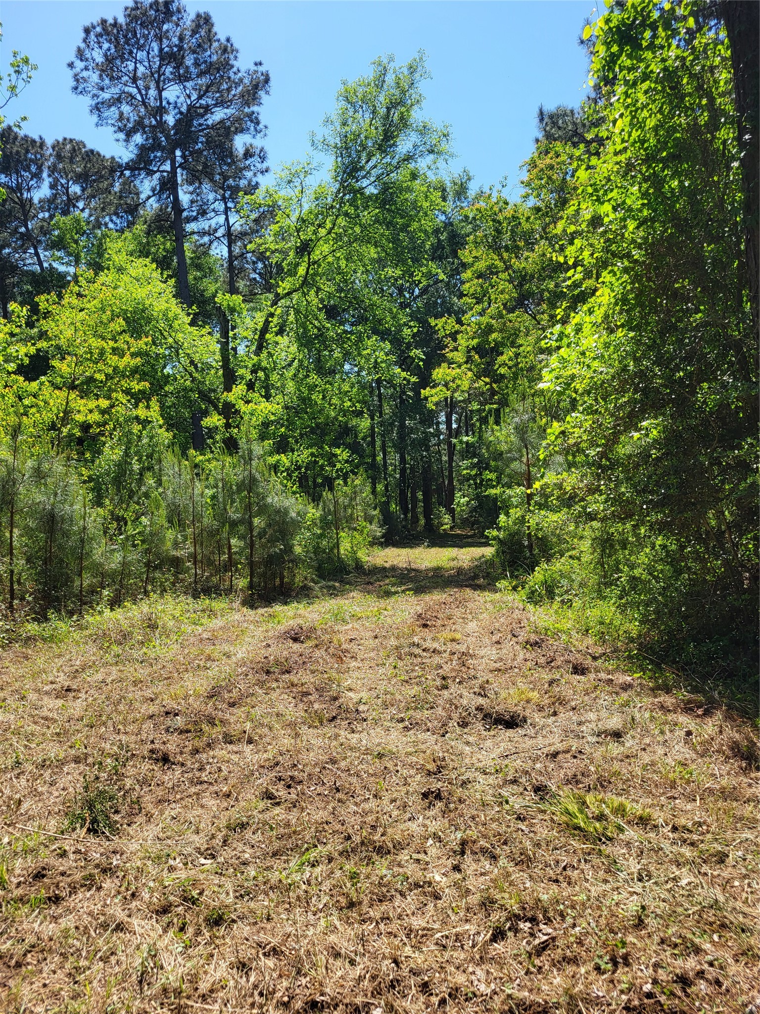 500 S Pine Lake Road Property Photo 32