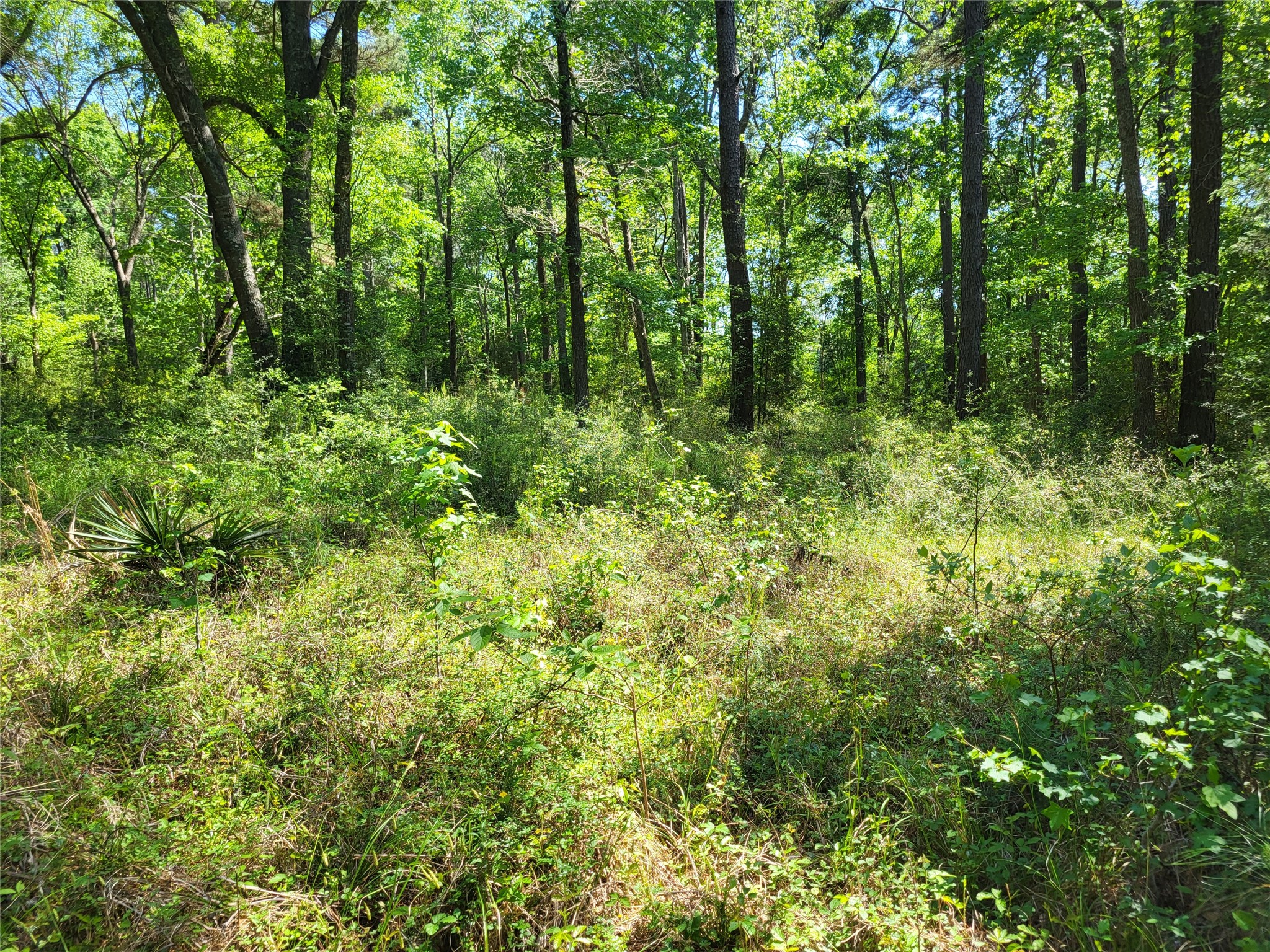 500 S Pine Lake Road Property Photo 34