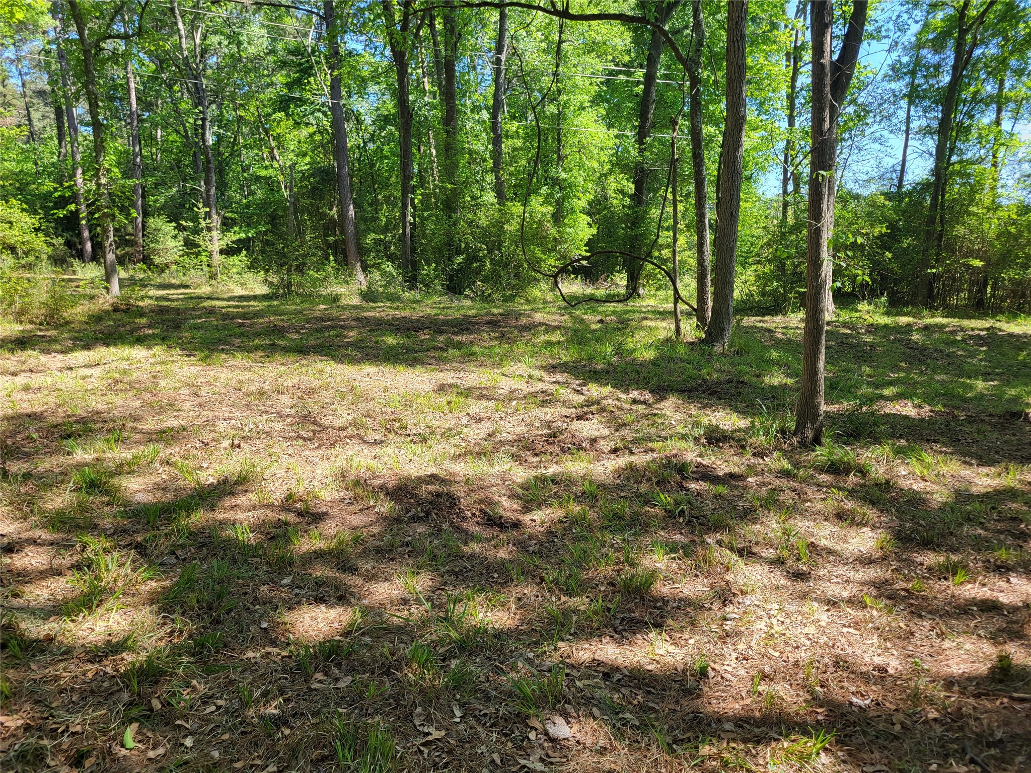 500 S Pine Lake Road Property Photo 35
