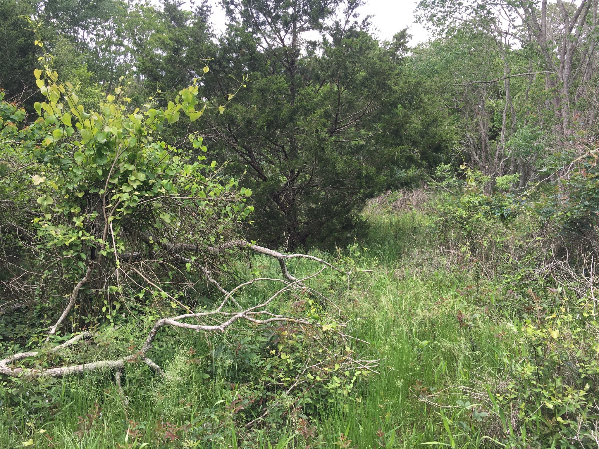 0 Donoho Street Property Photo