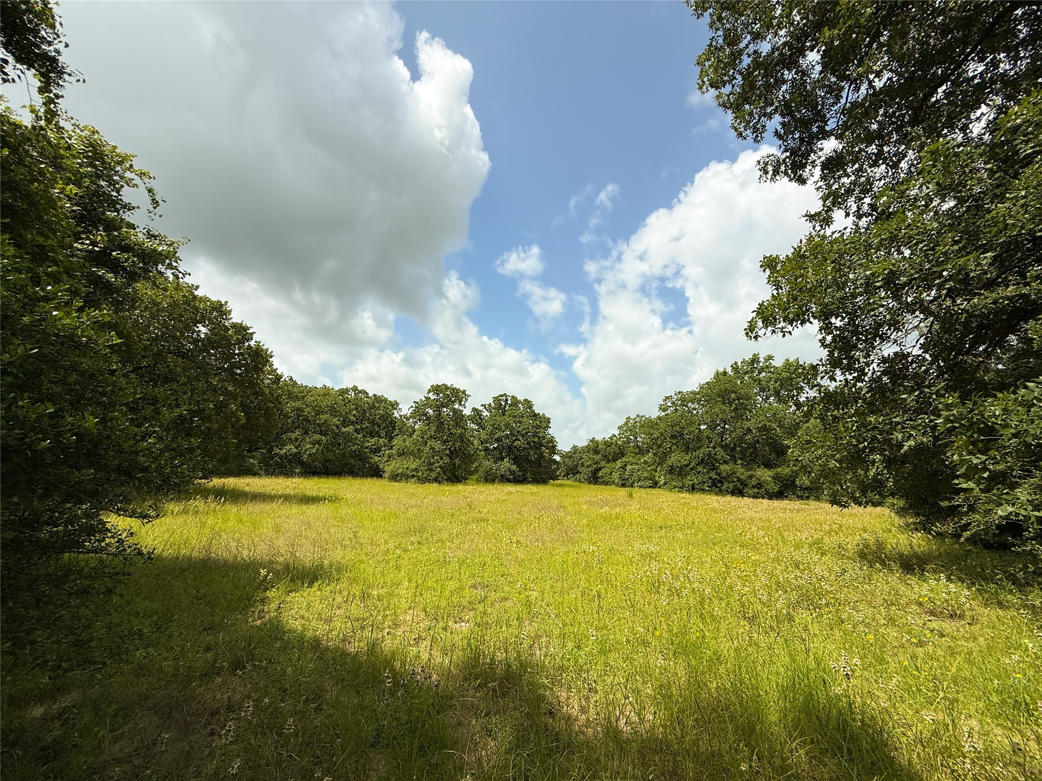 Tbd Tract 9 County Road 261 Property Photo 1