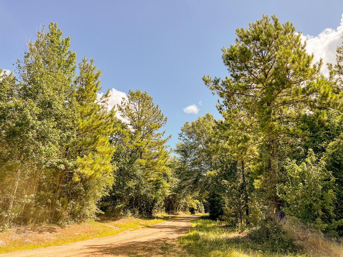 00 CR 367 Property Photo 1