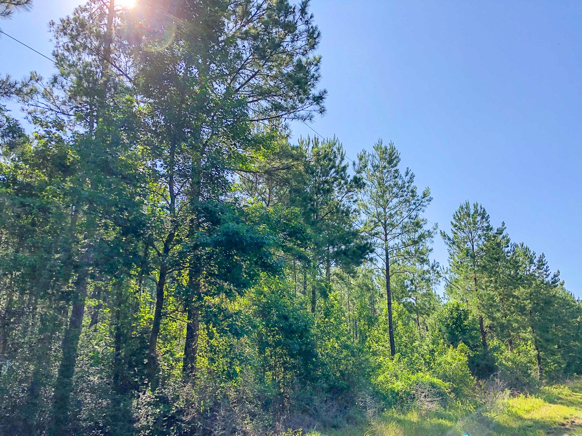 00 Cr 367 Property Photo 8