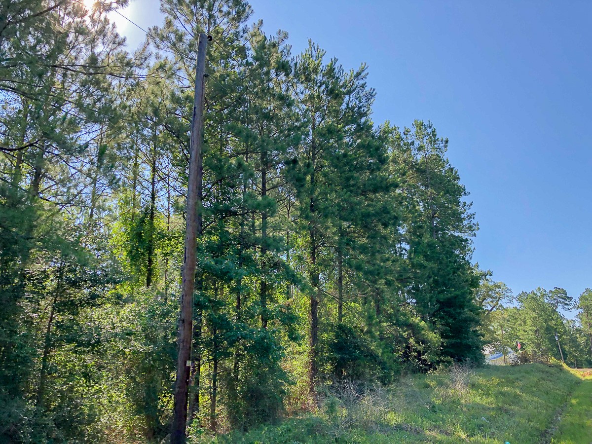 00 Cr 367 Property Photo 10