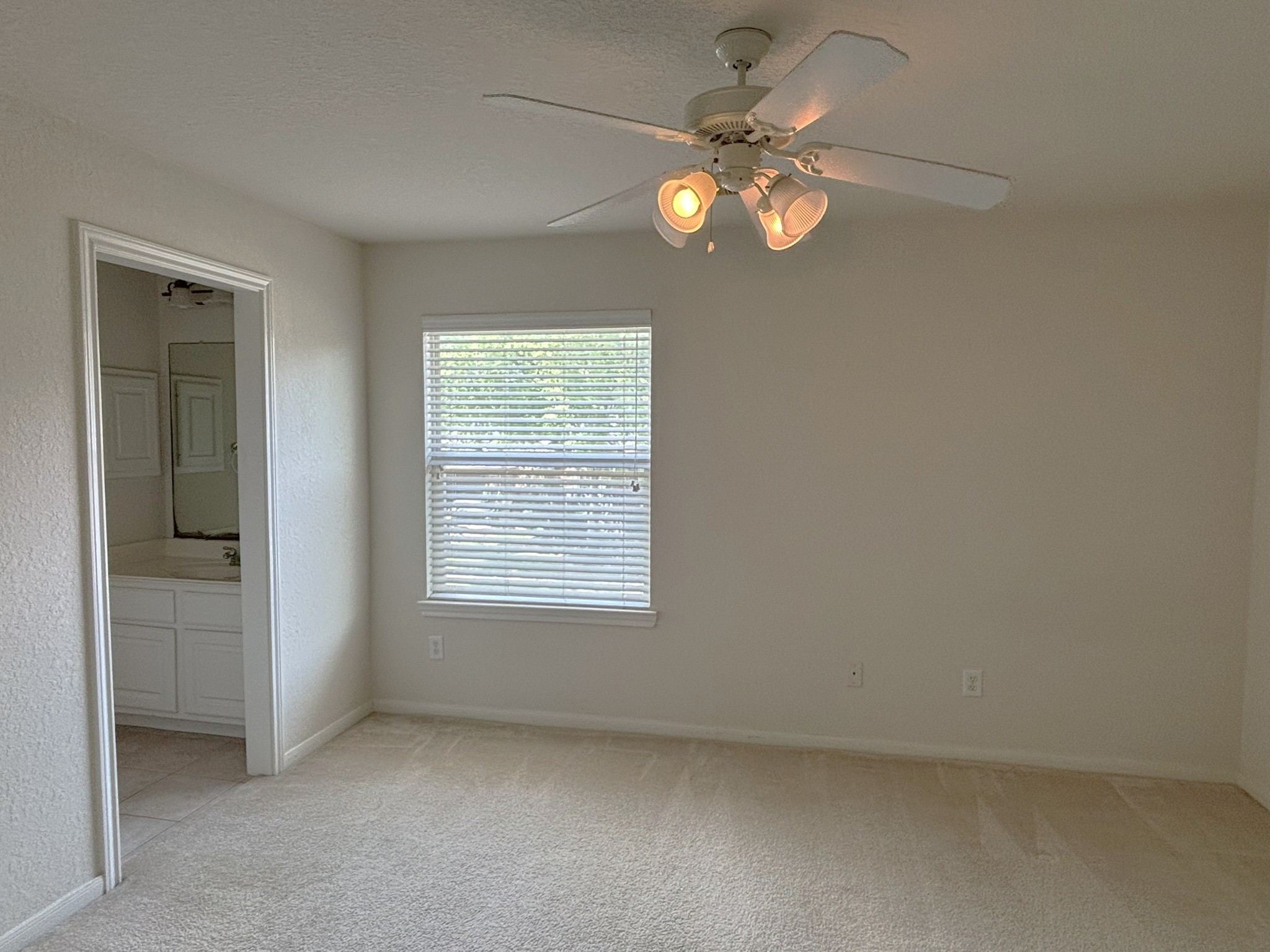 19538 Piney Lake Drive Property Photo 23