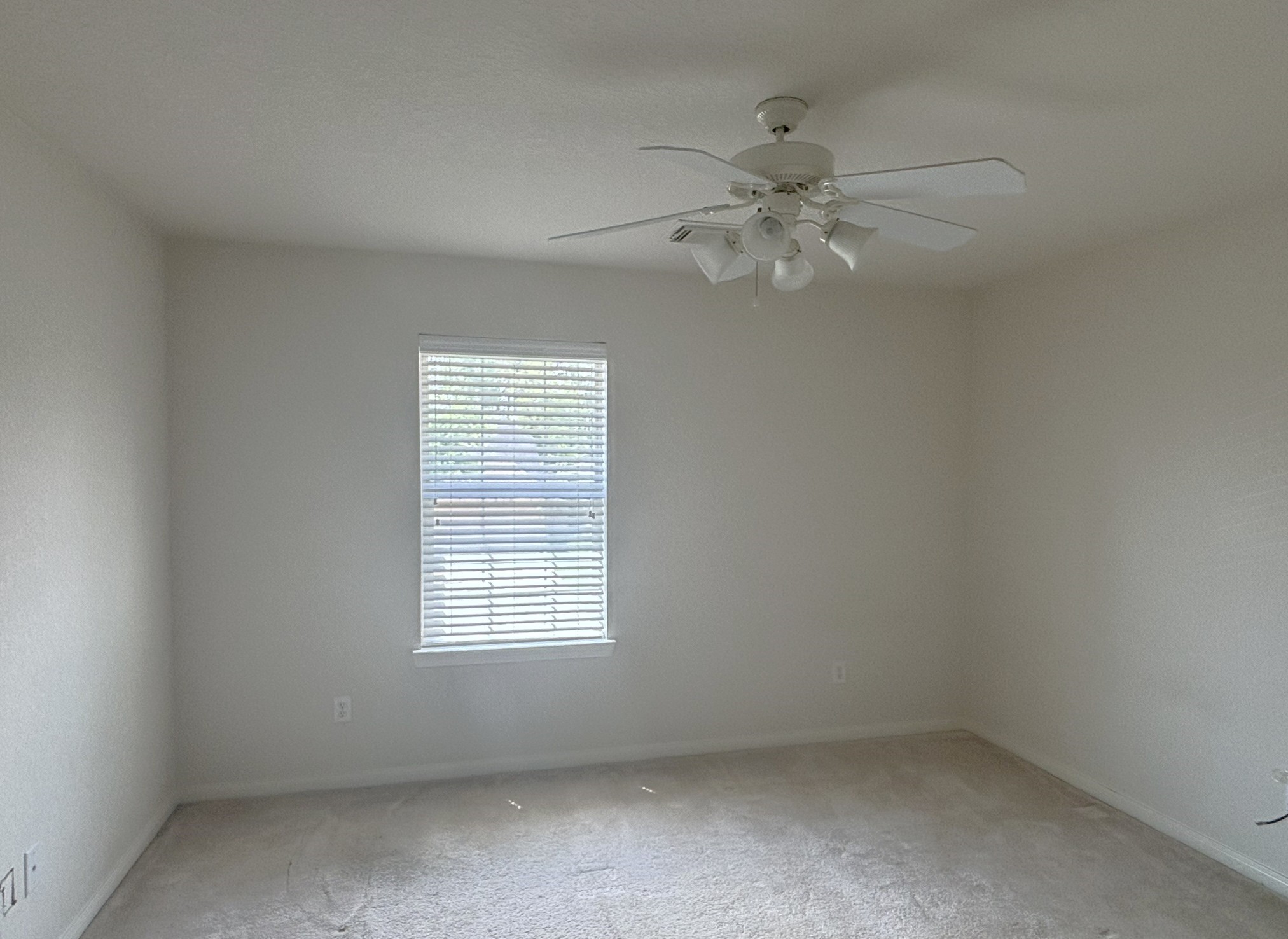 19538 Piney Lake Drive Property Photo 26