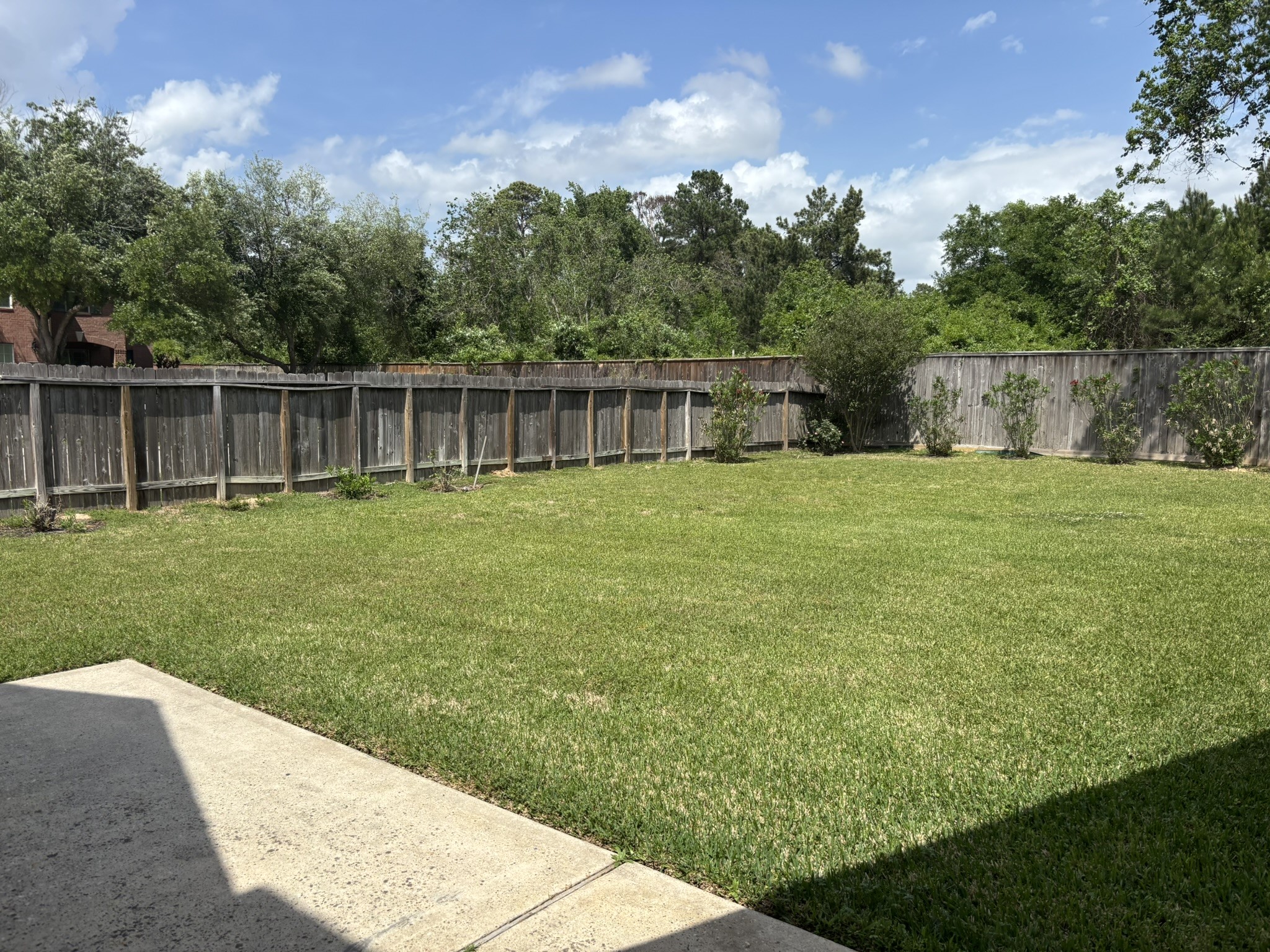 19538 Piney Lake Drive Property Photo 31