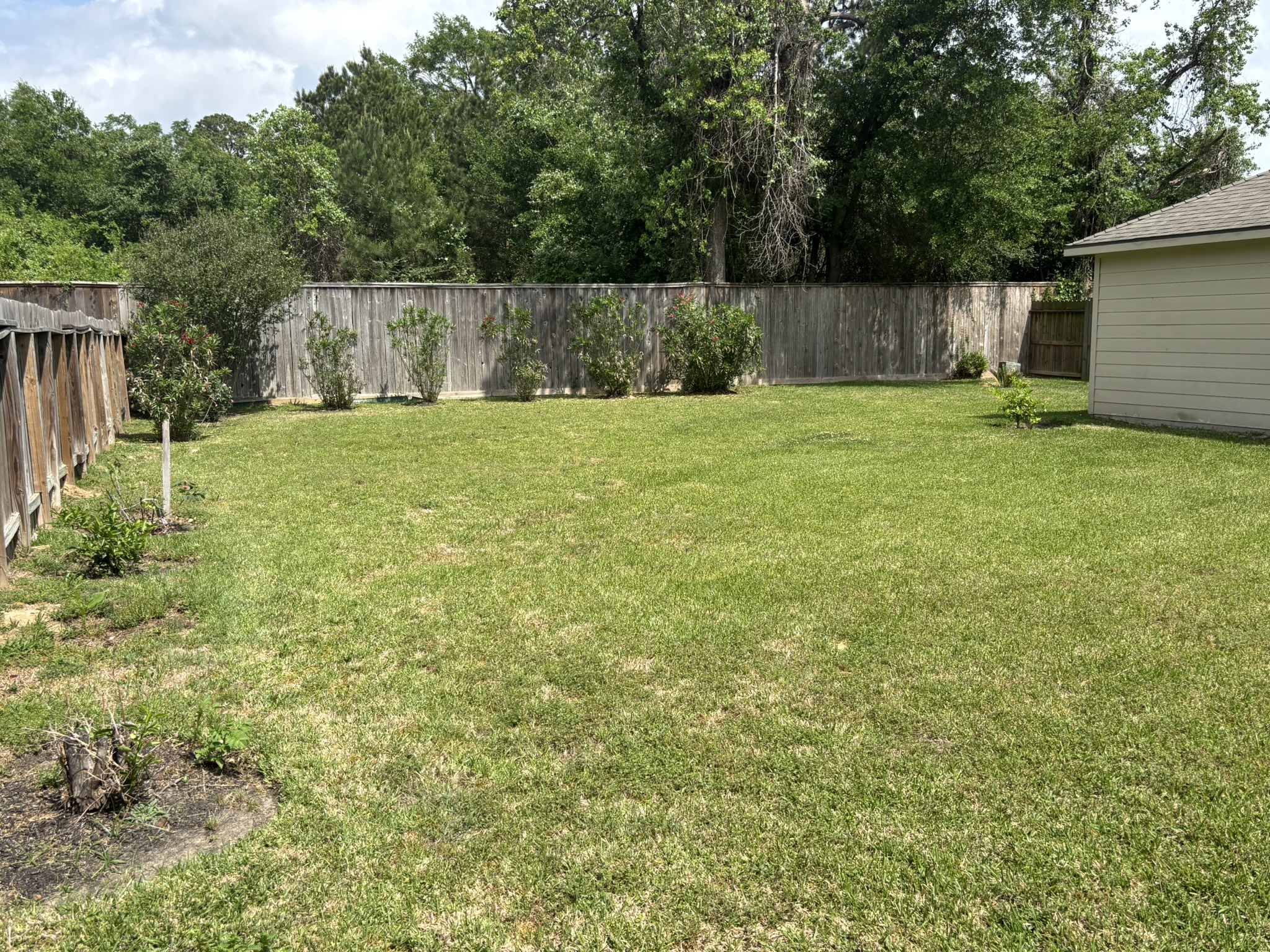 19538 Piney Lake Drive Property Photo 34