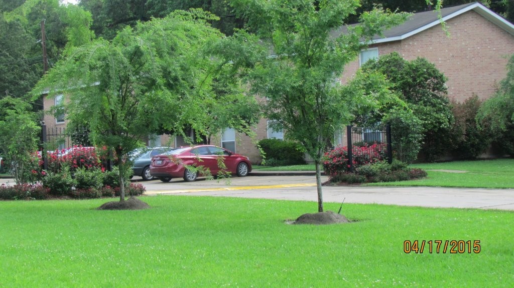 16161 Tiger Bend Road Property Photo 5