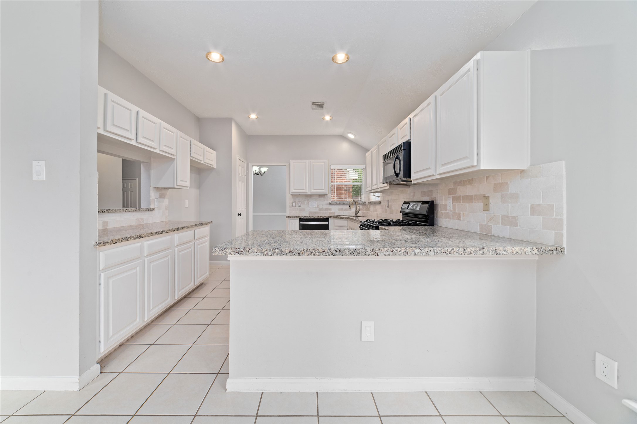 15803 Spruce River Court Property Photo 9