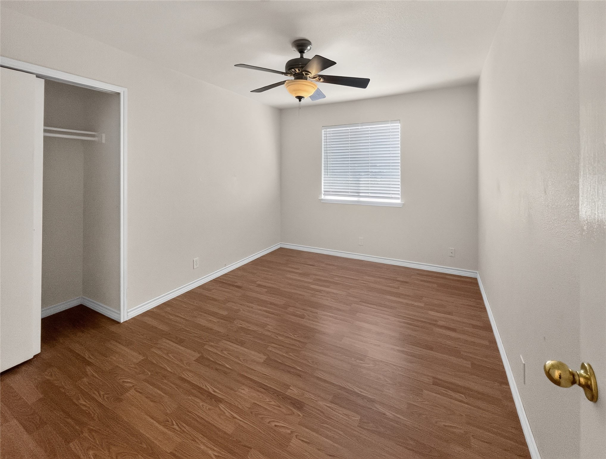 195 Musgrav Property Photo 11