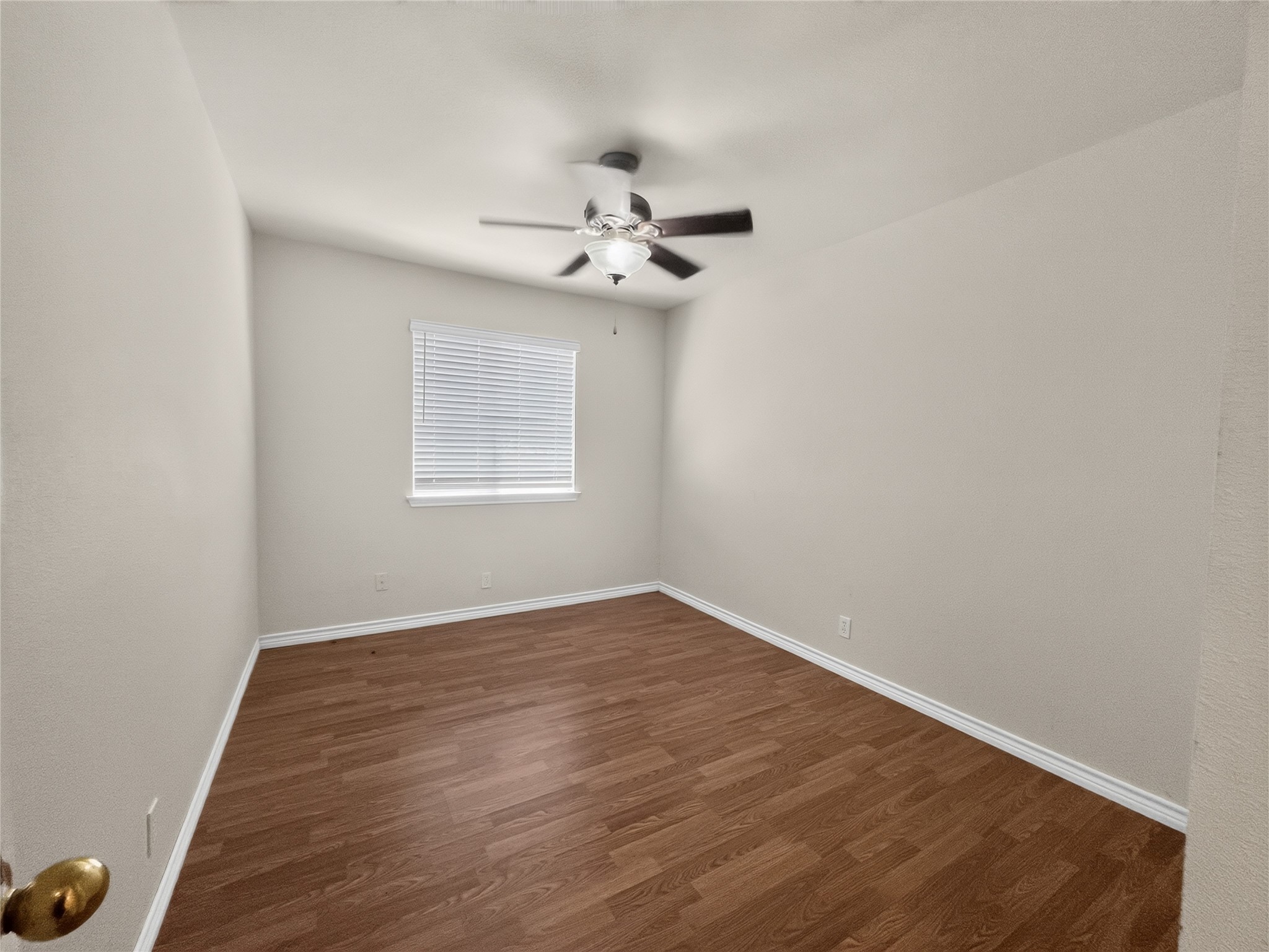 195 Musgrav Property Photo 15