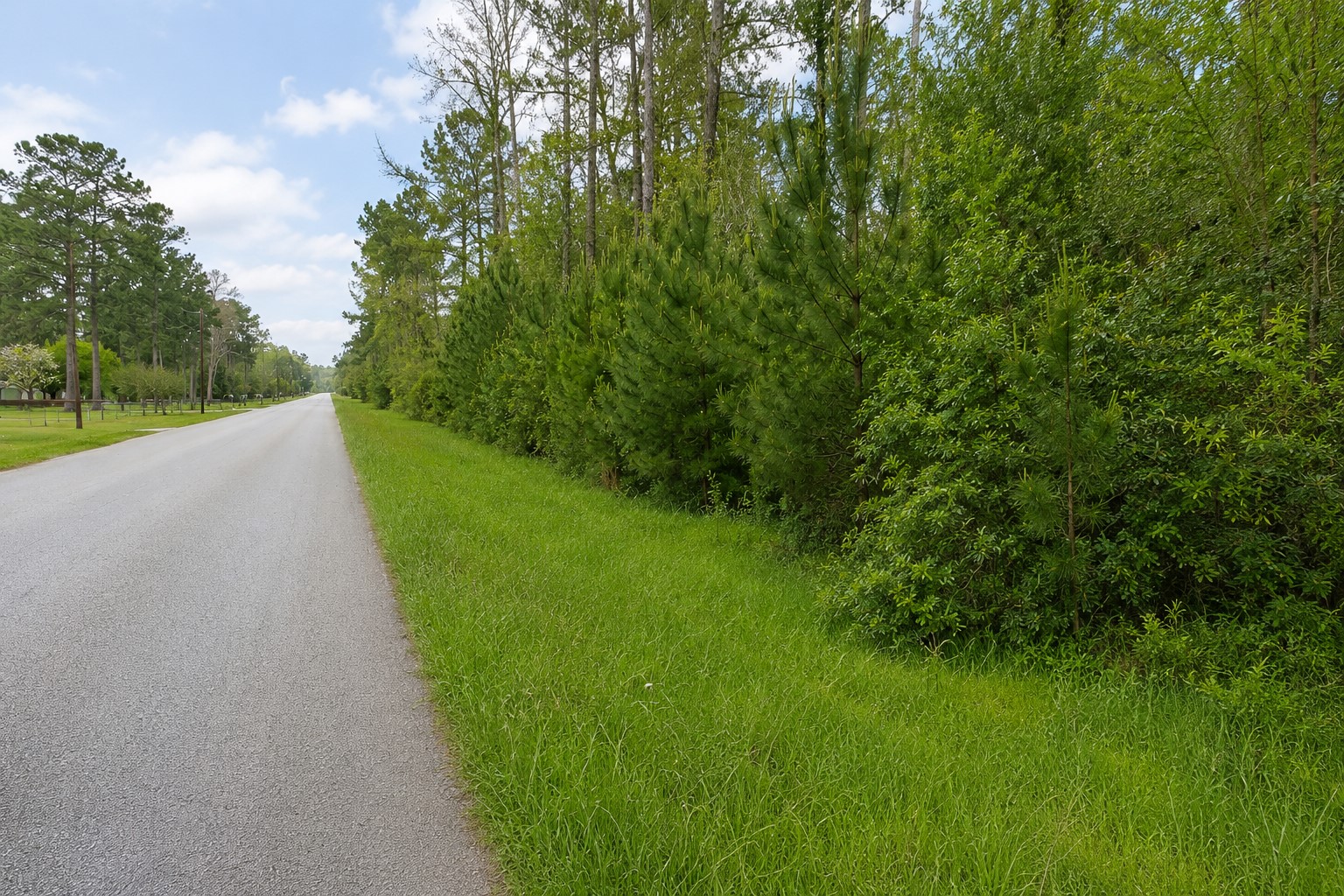 247 County Road 6763 Property Photo 2