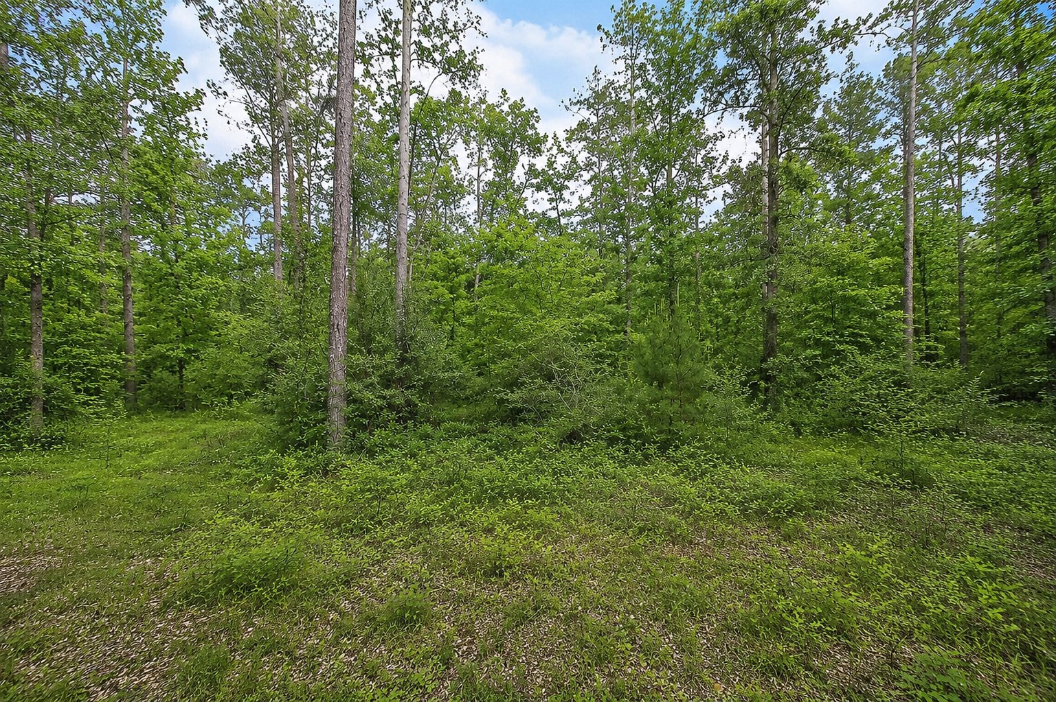 247 County Road 6763 Property Photo 3