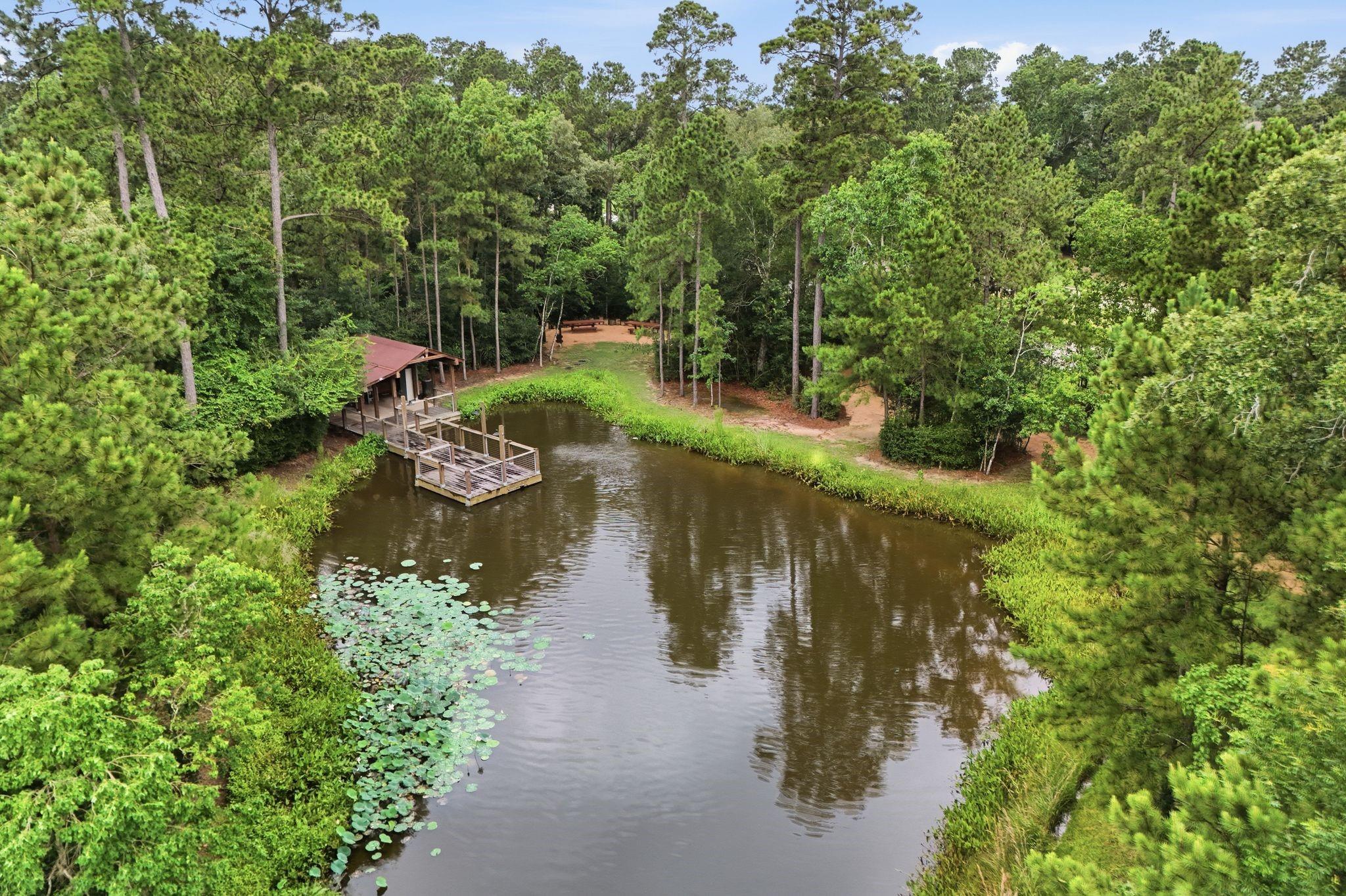 12435 Palo Acebo Lane Property Photo 41