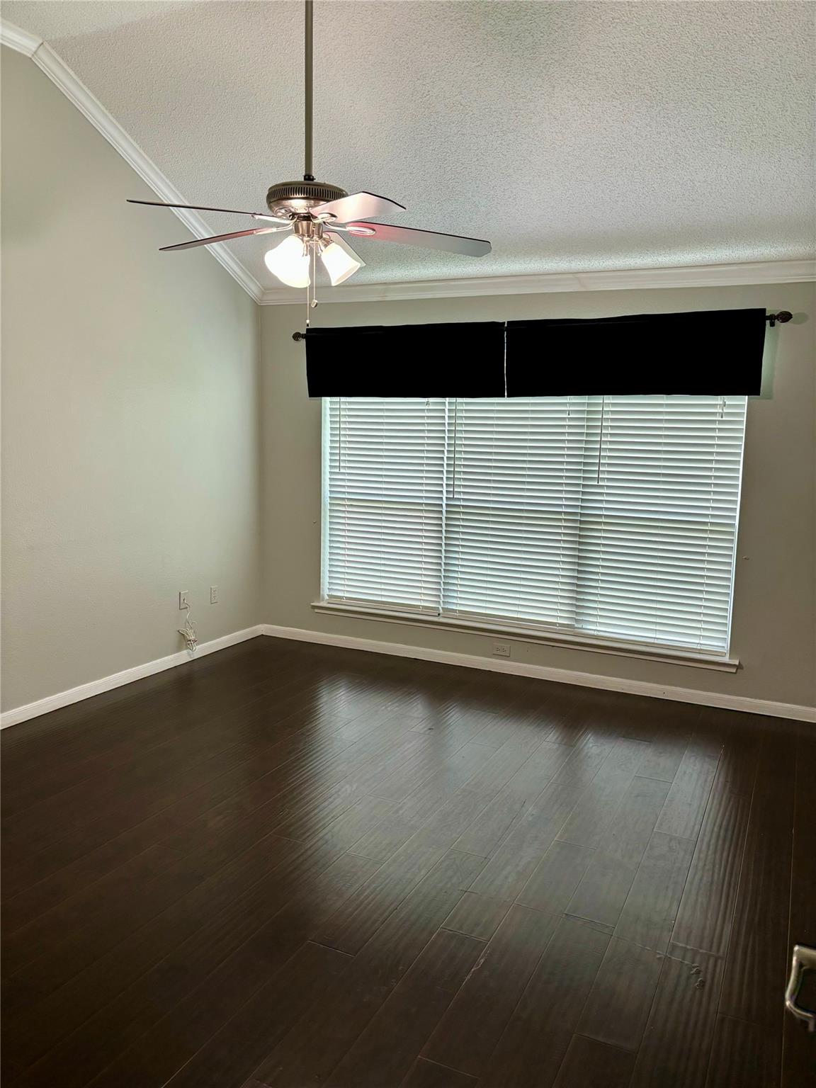 3909 Ashwood Drive Property Photo 14