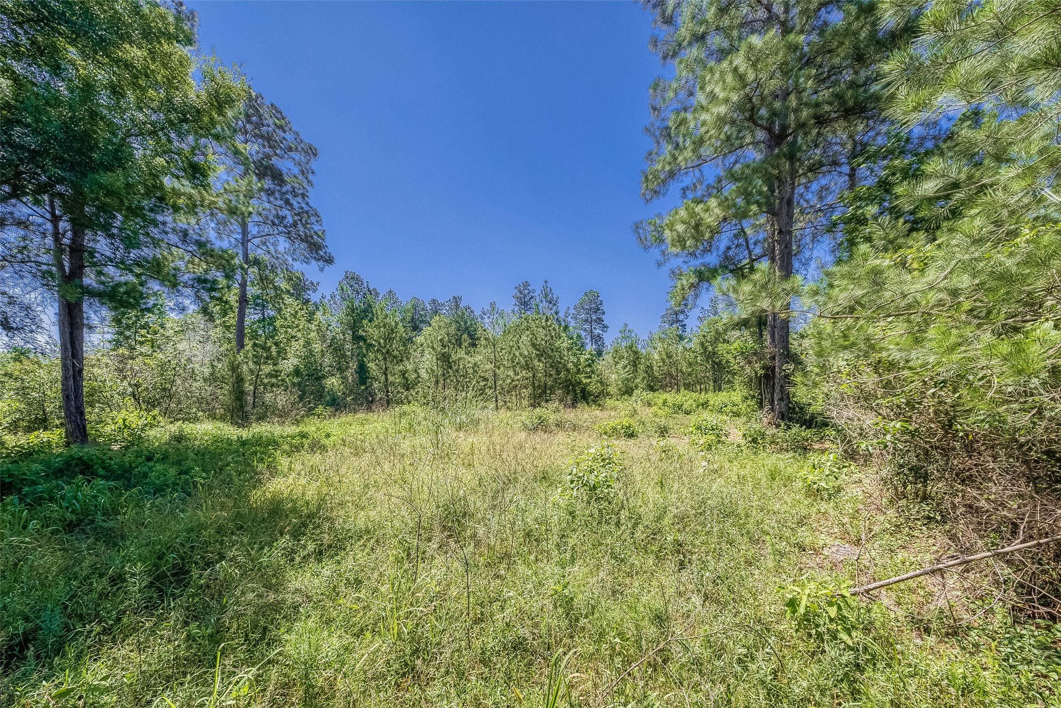123 Gypsum Road Property Photo 4