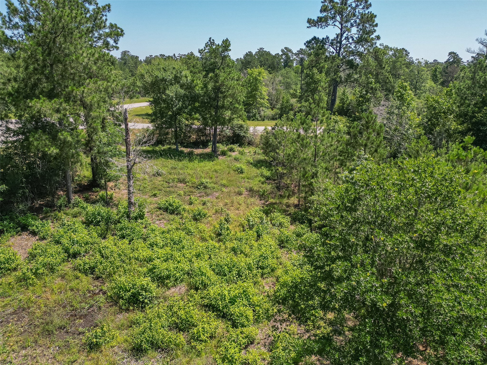 123 Gypsum Road Property Photo 11