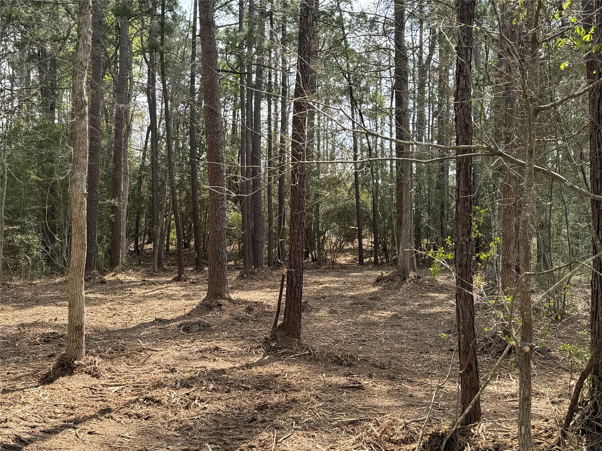 087 Private Road 6026 Property Photo 1