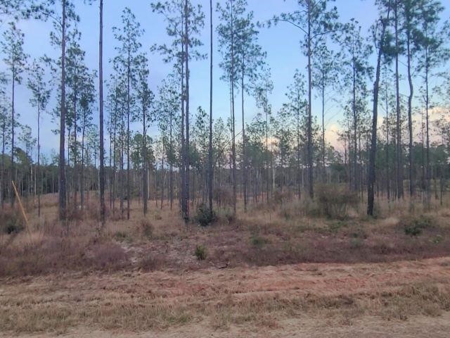 087 Private Road 6026 Property Photo 2