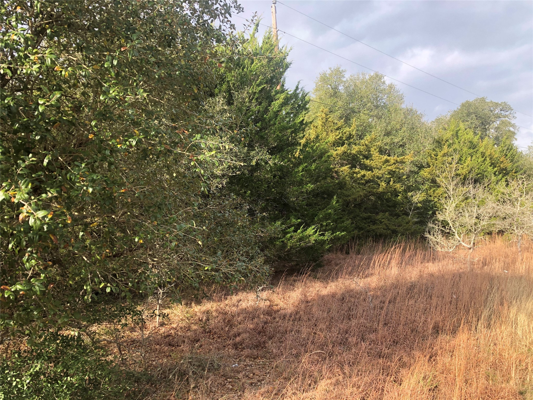 0 Sierra Road Property Photo 3