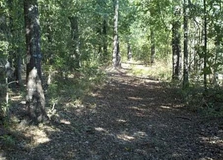 12184 Private Road 2350 Property Photo 1